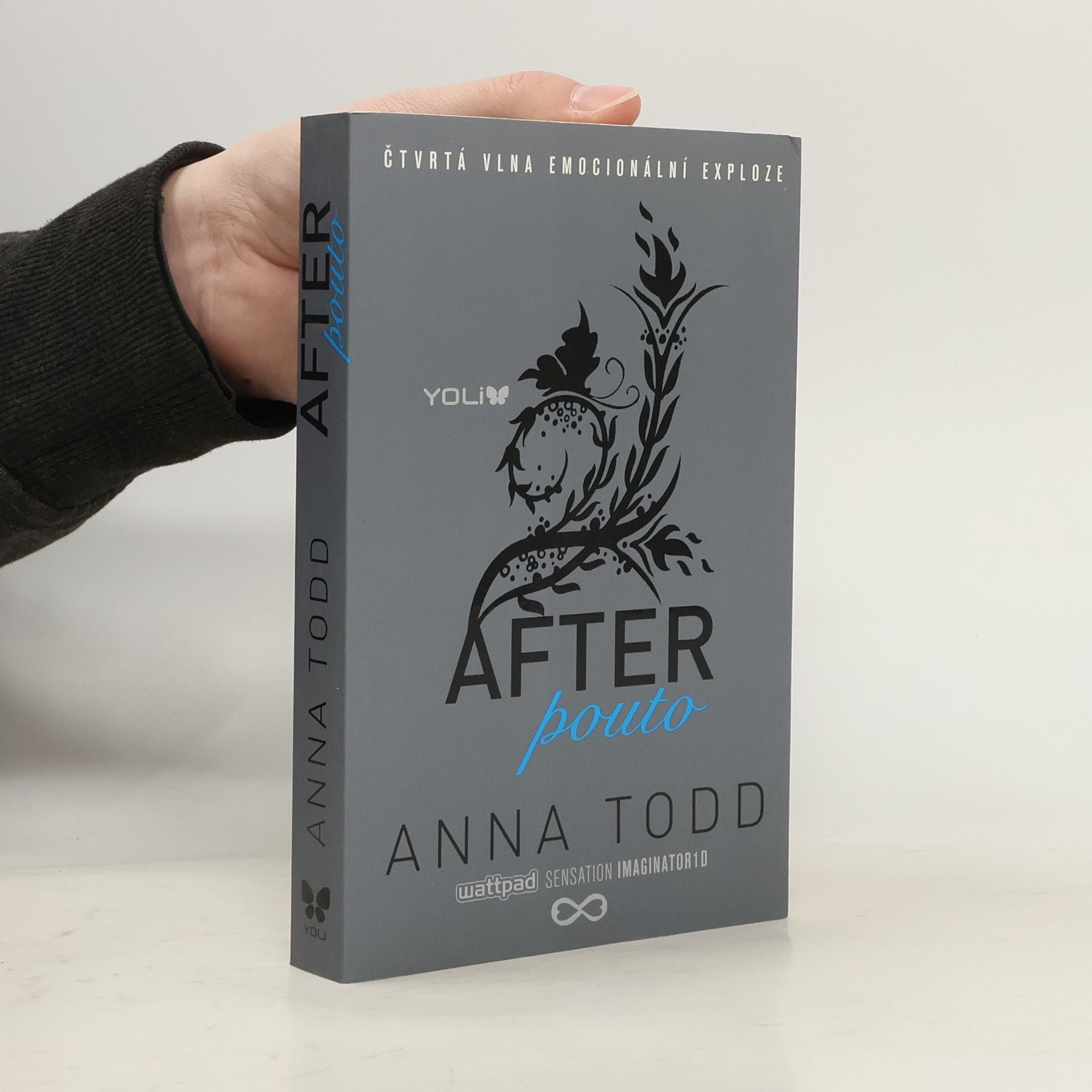Anna Todd After. Pouto