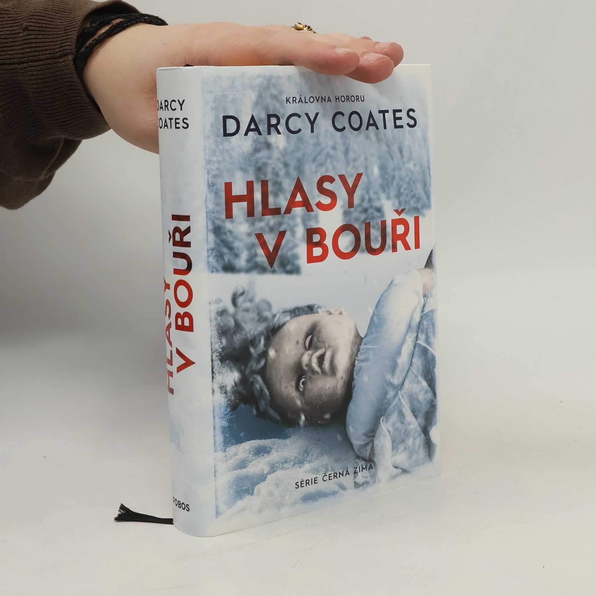 Darcy Coates Hlasy v bouři