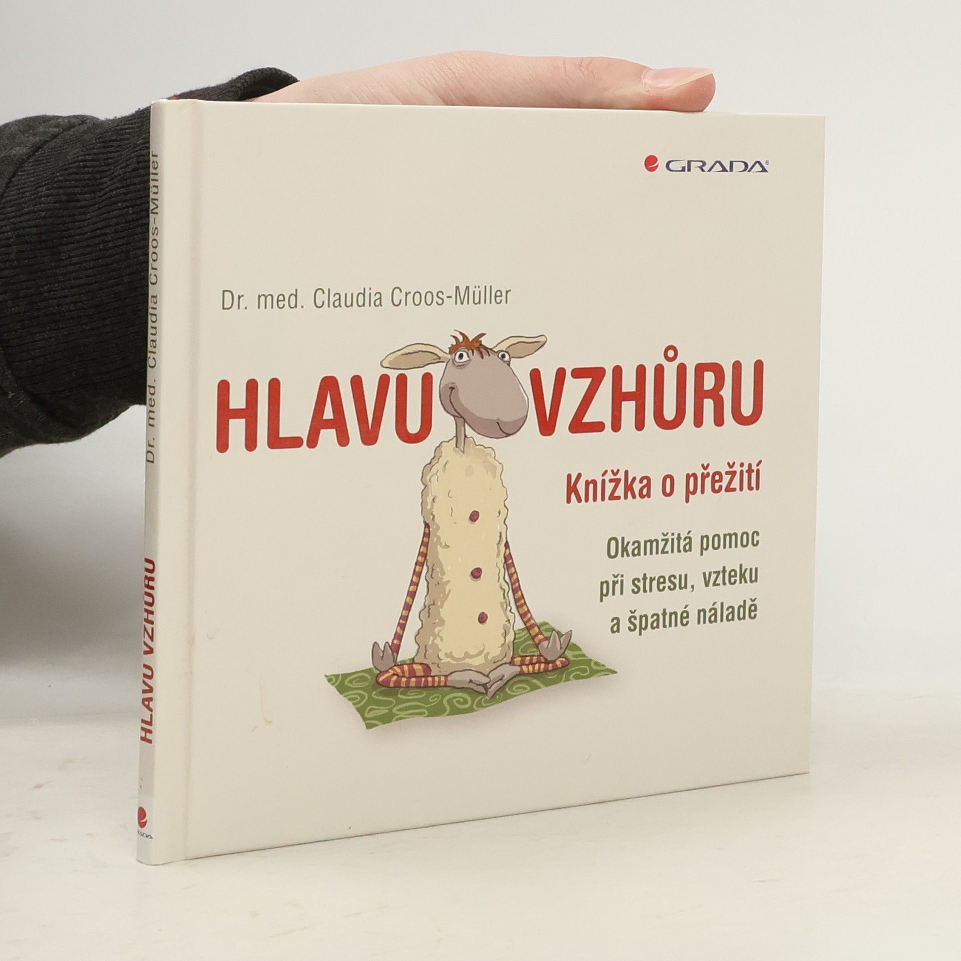 Claudia Croos-Müller Hlavu vzhůru: Knížka o přežití : okamžitá pomoc při stresu, vzteku a špatné náladě