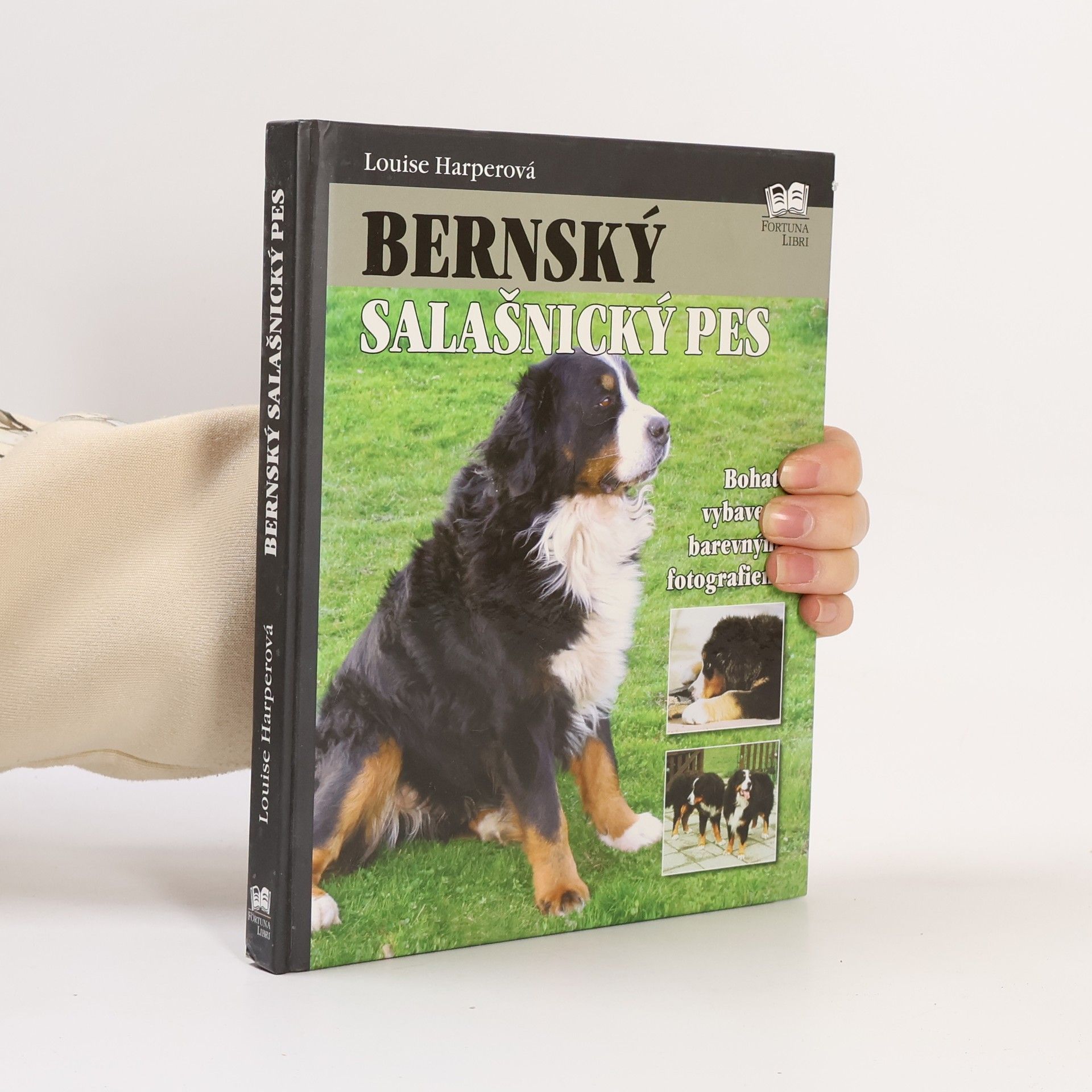 Louise Harper Bernský salašnický pes