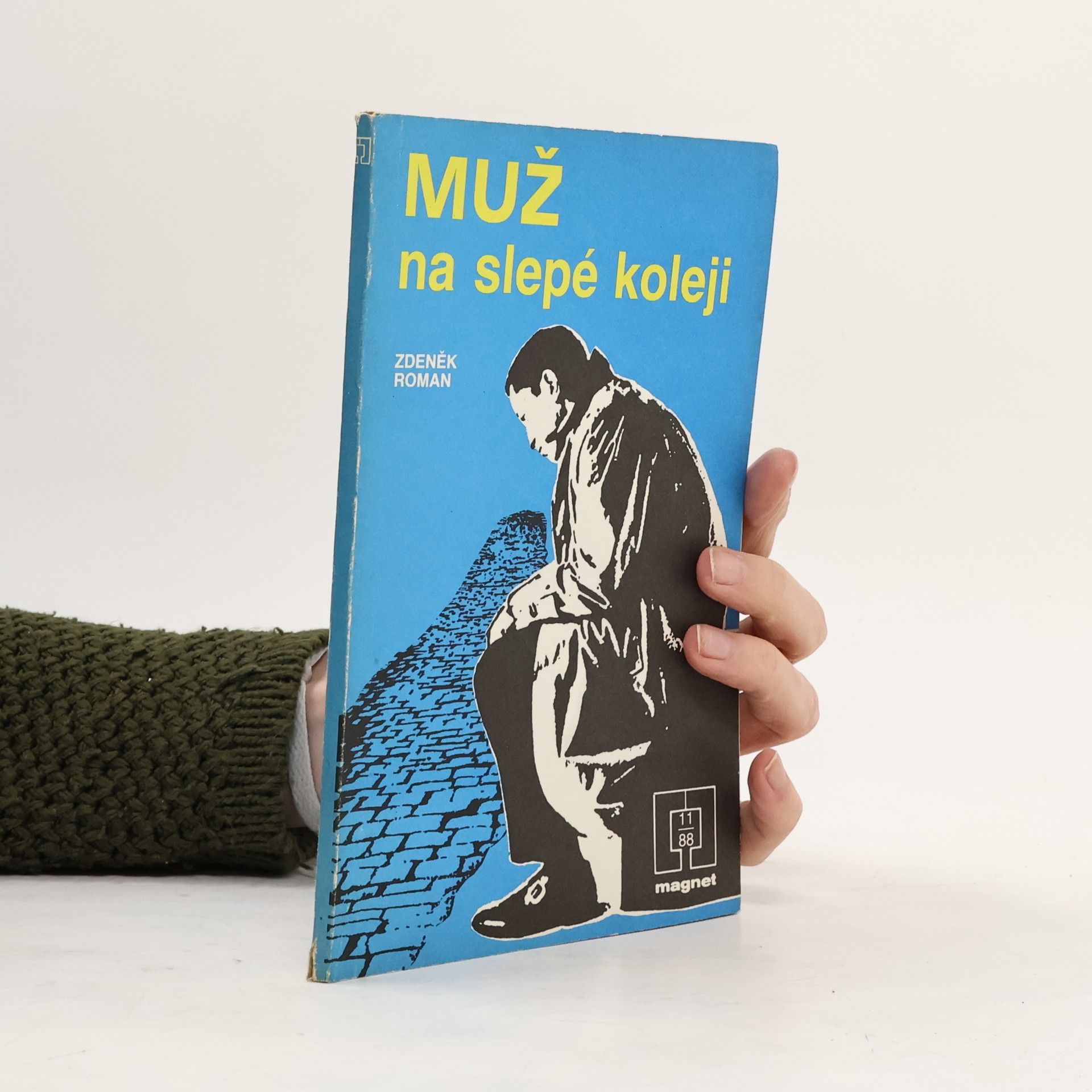 Zdeněk Roman Muž na slepé koleji