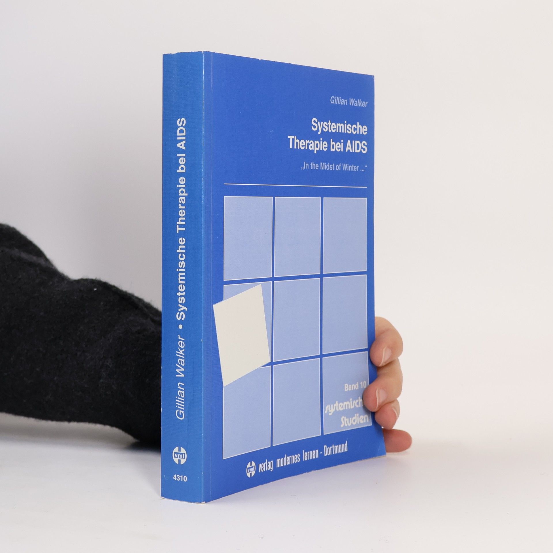 Gillian Walker Systemische Studien - 10: Systemische Therapie bei AIDS