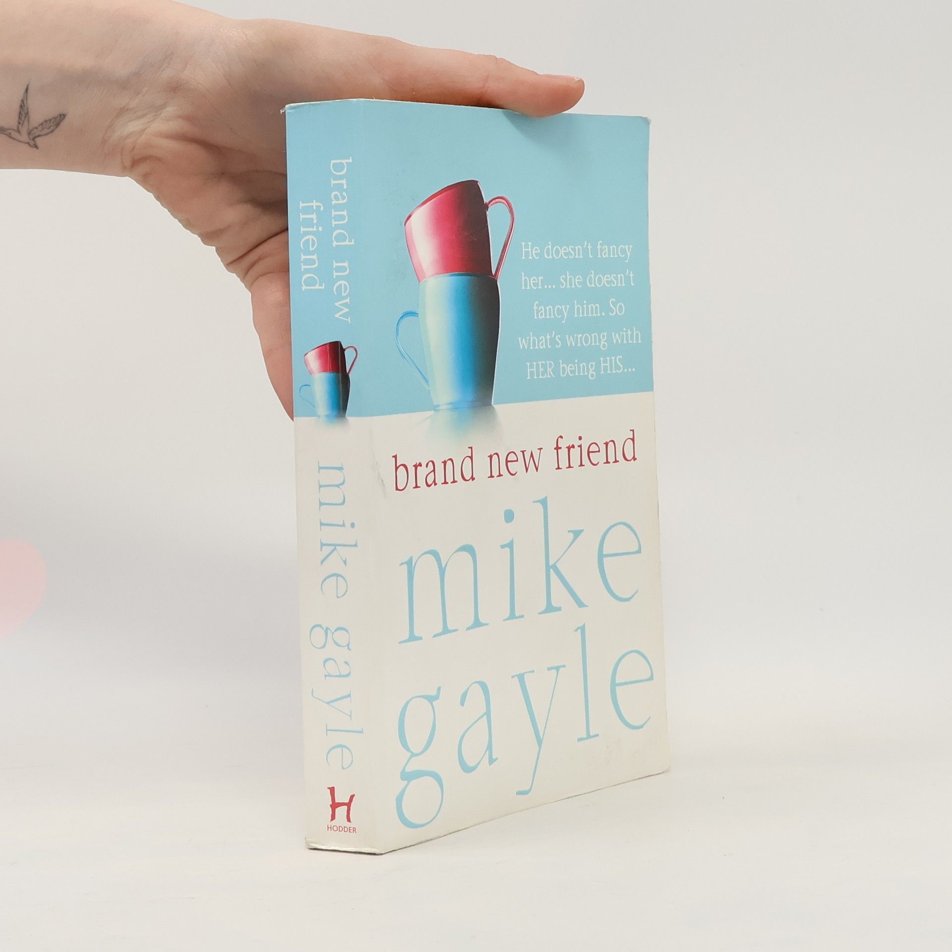 Mike Gayle Brand New Friend