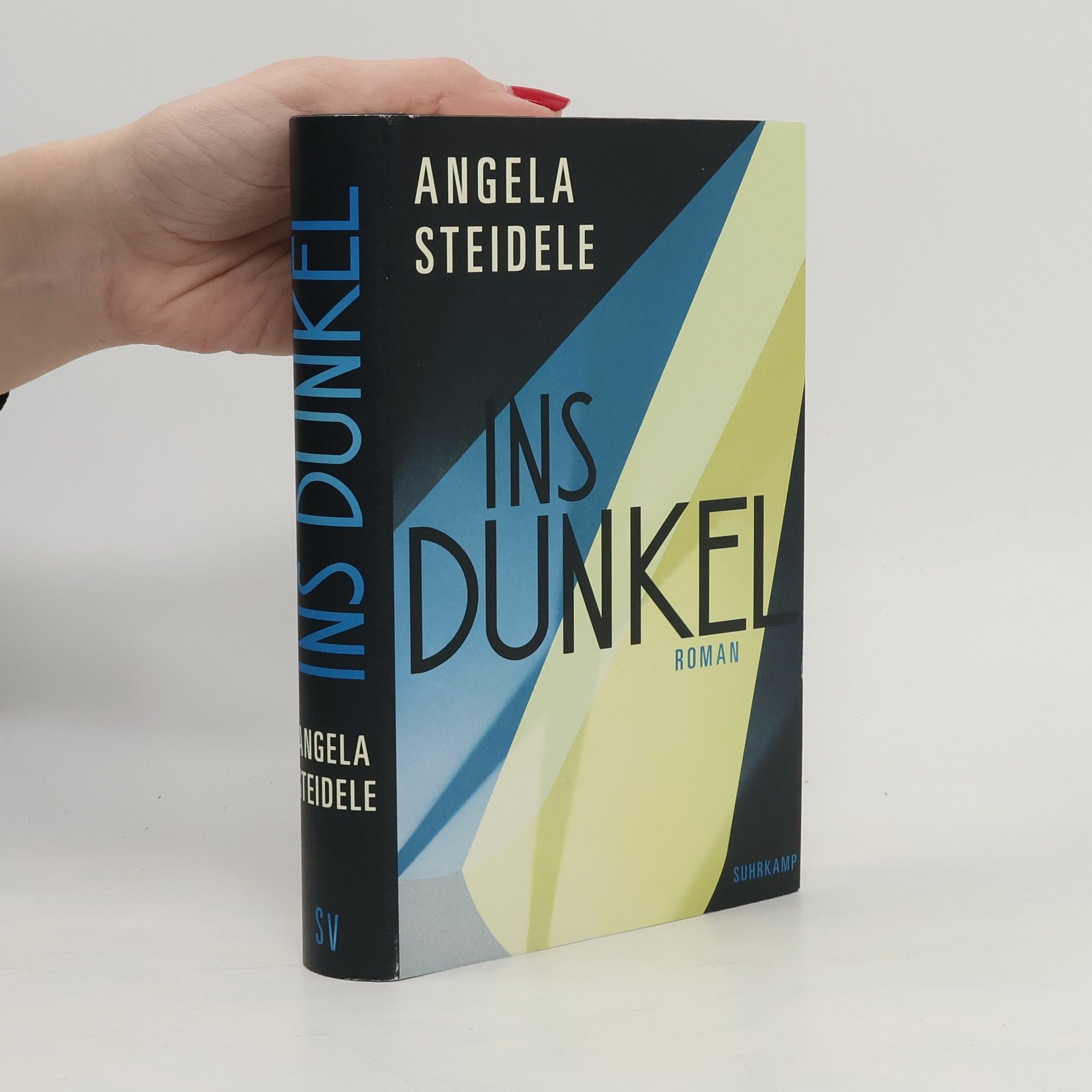 Angela Steidele Ins Dunkel