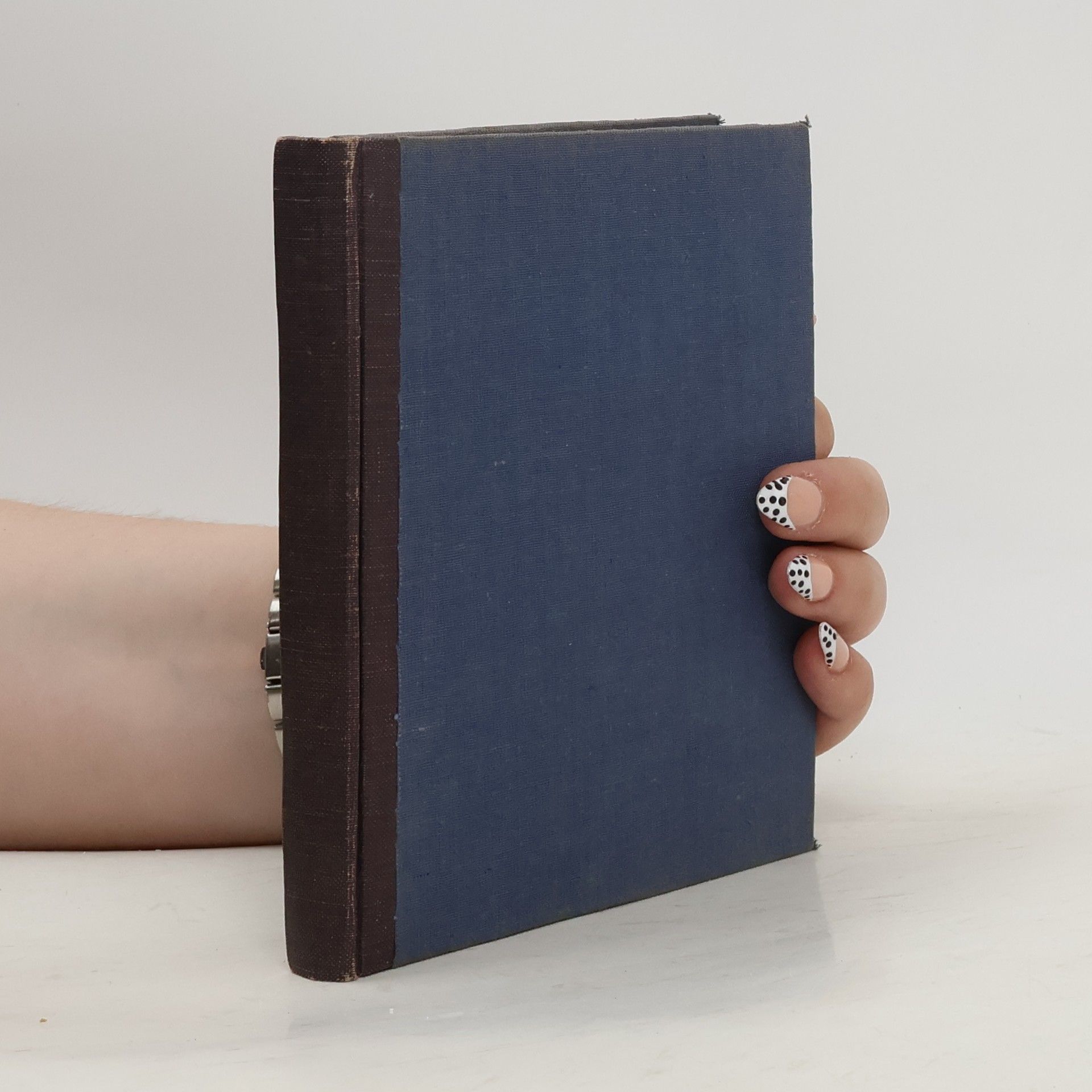 Josef Svátek Paměti katovské rodiny mydlářů v Praze. Kniha čtvrtá