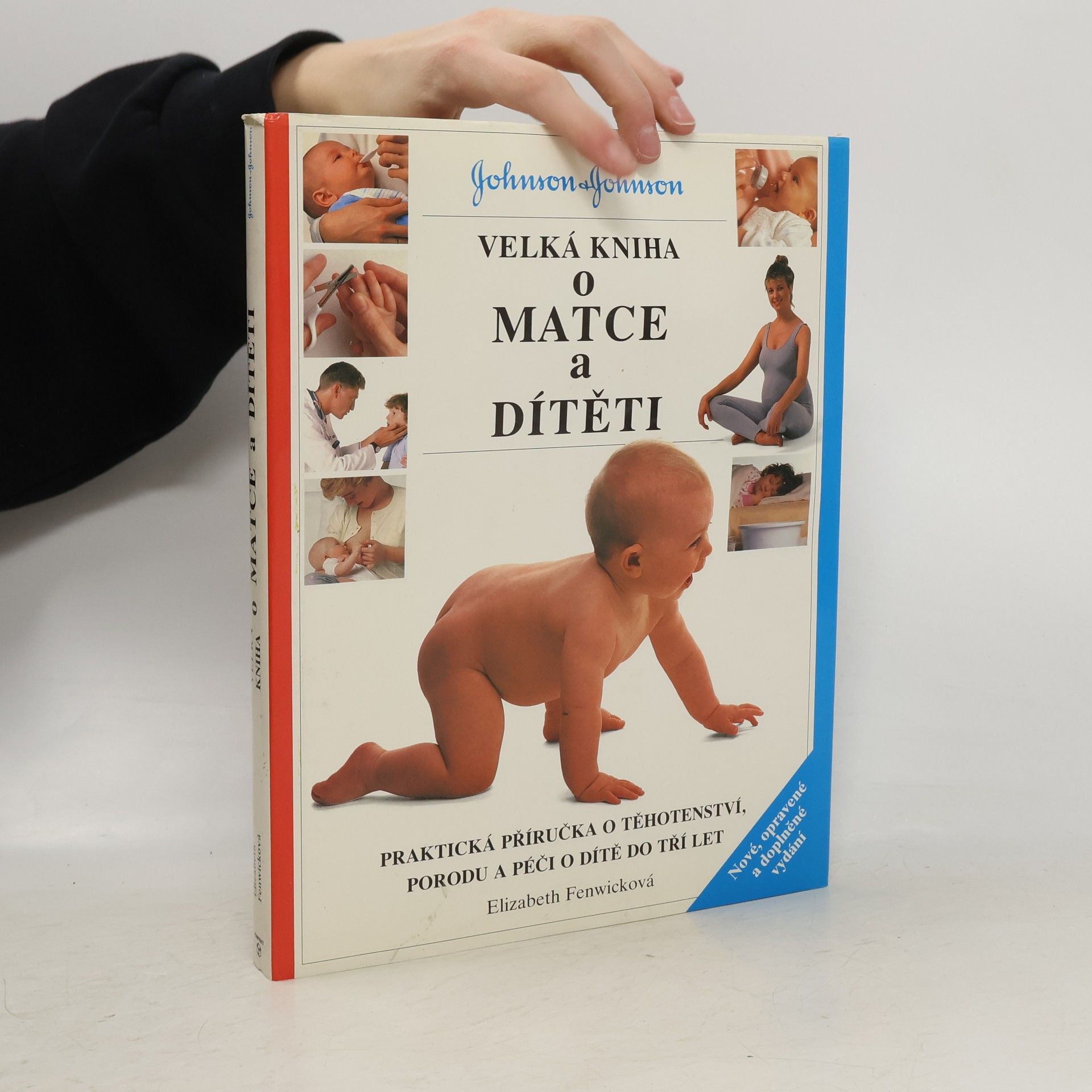 Elizabeth Fenwick Velká kniha o matce a dítěti