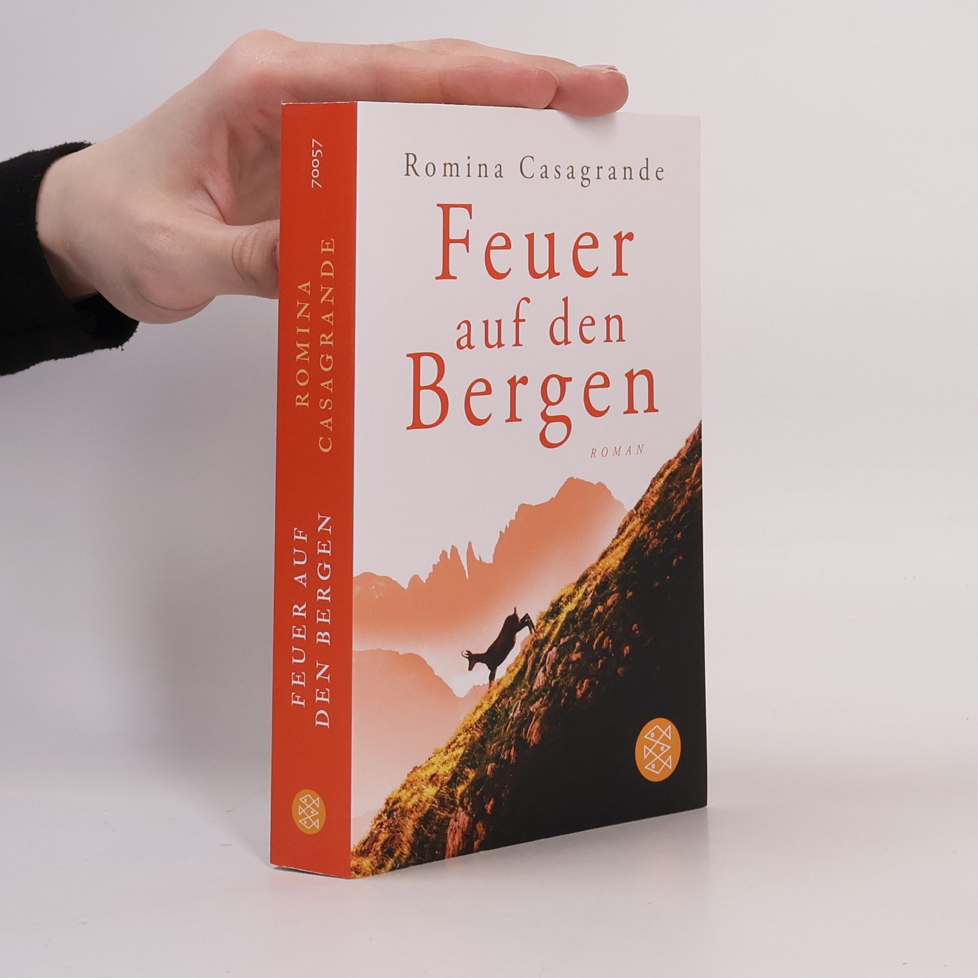 Romina Casagrande Feuer auf den Bergen