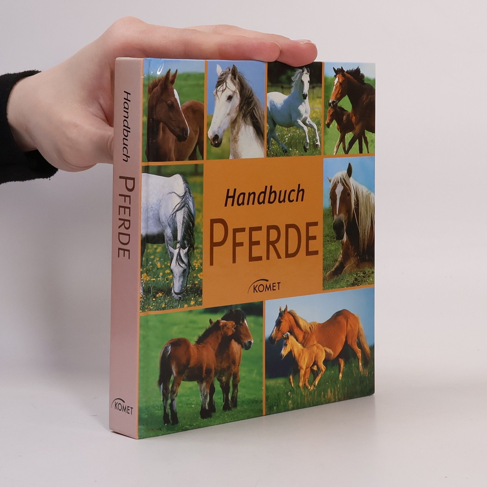 Autorenkollektiv Handbuch Pferde