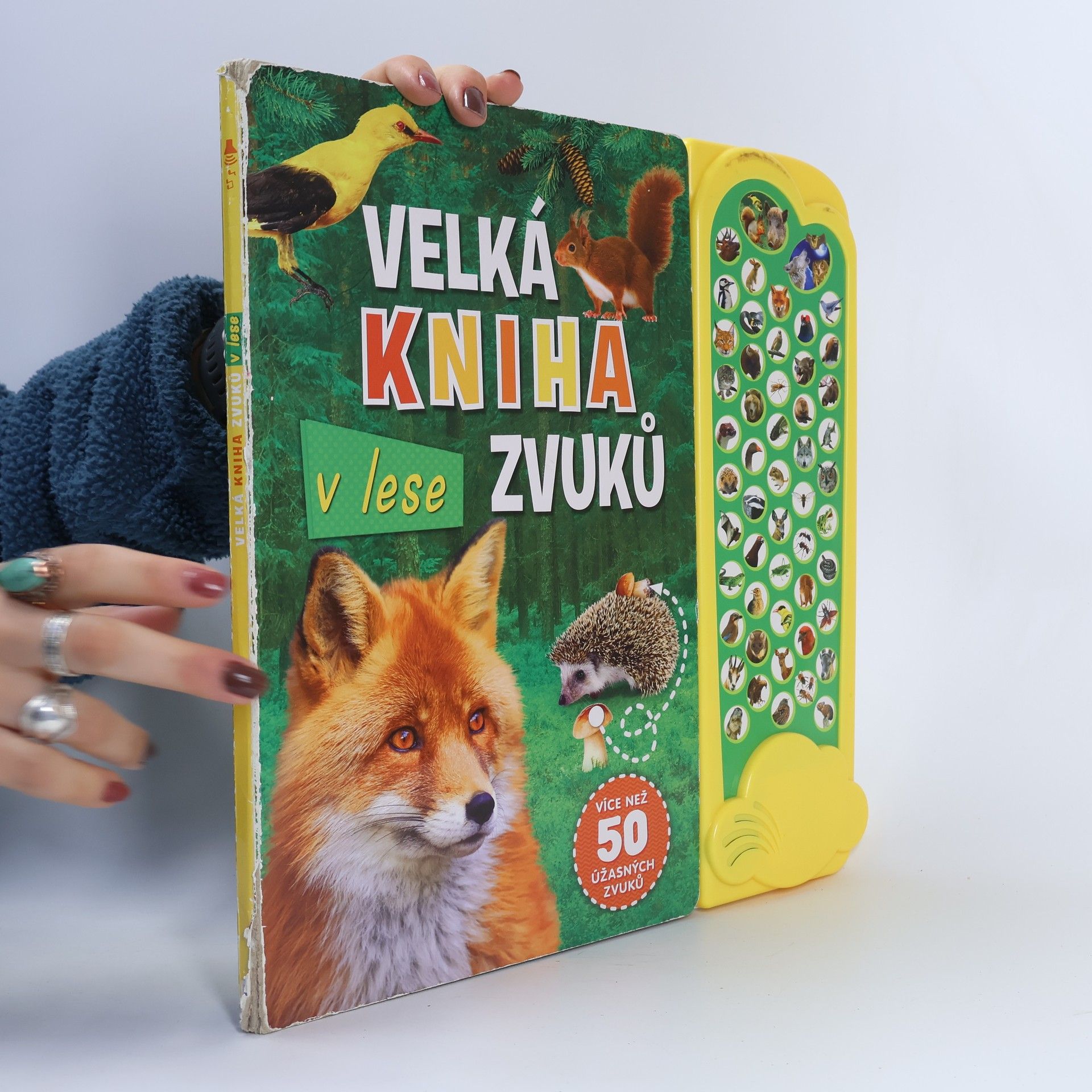 Collectif d'auteurs V lese - Velká kniha zvuků