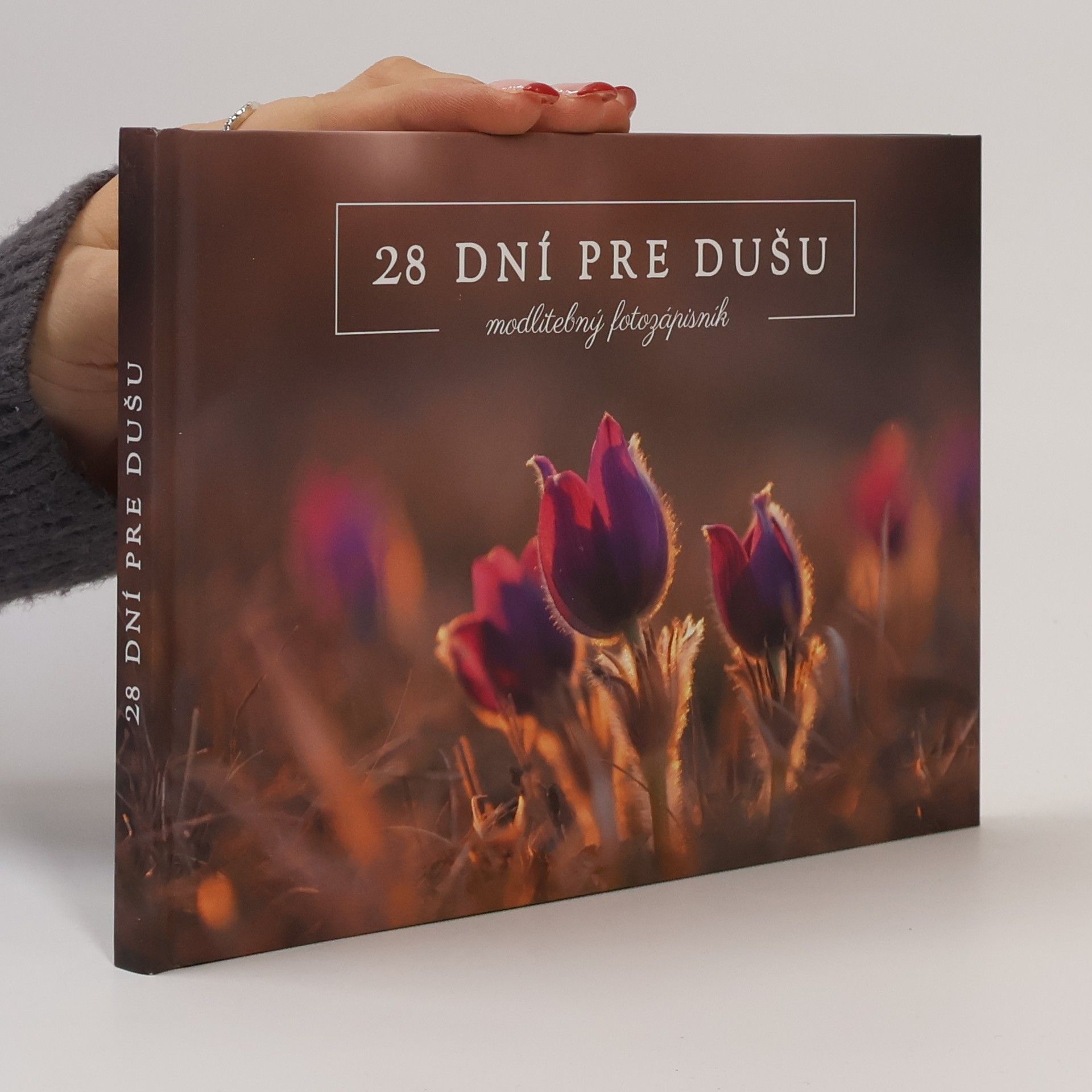 Auteurscollectief 28 dní pre dušu