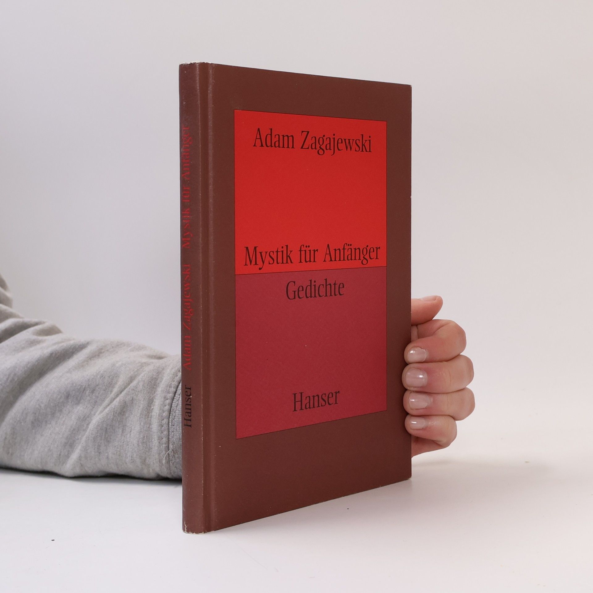 Adam Zagajewski Mystik für Anfänger. Gedichte