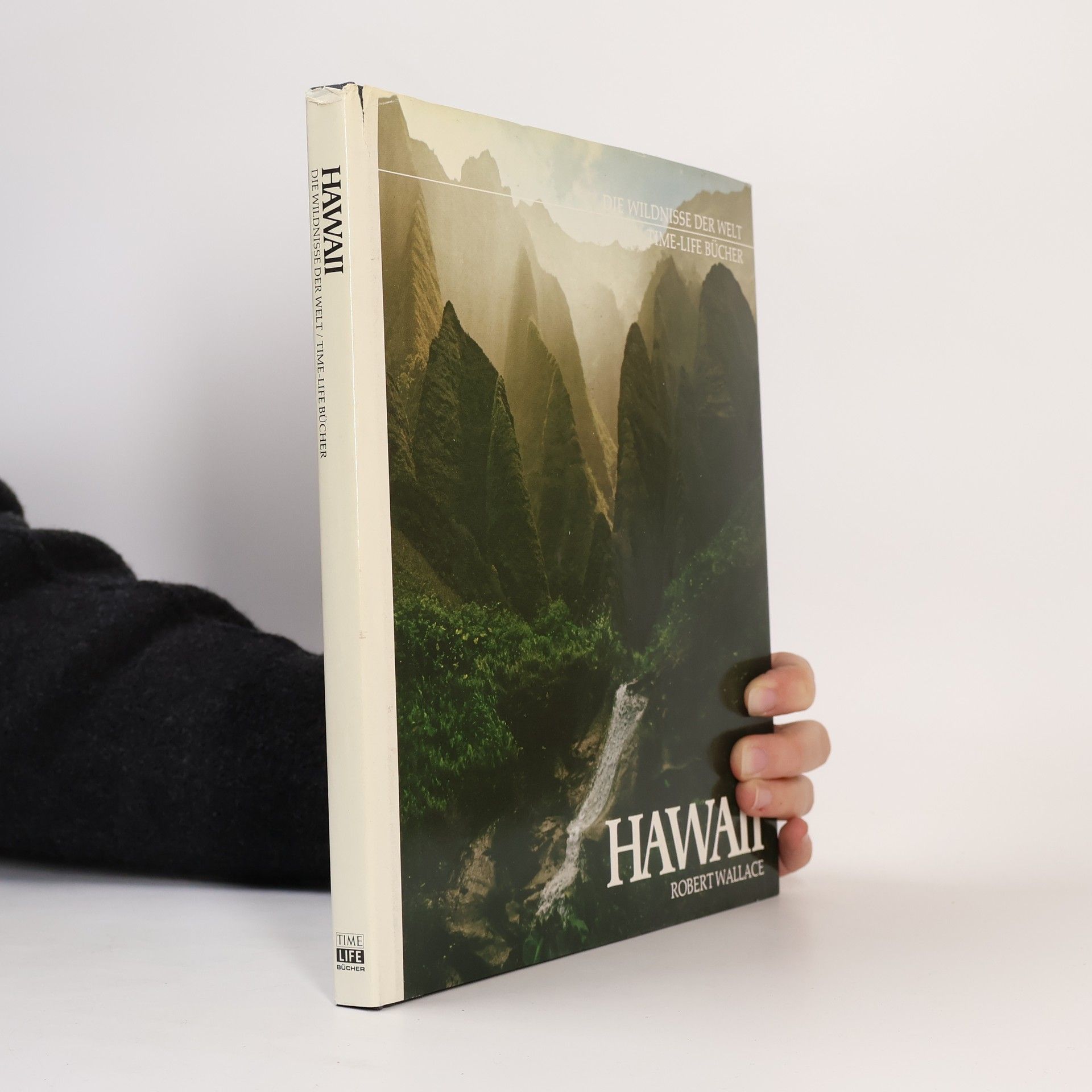 Robert Wallace Hawaii