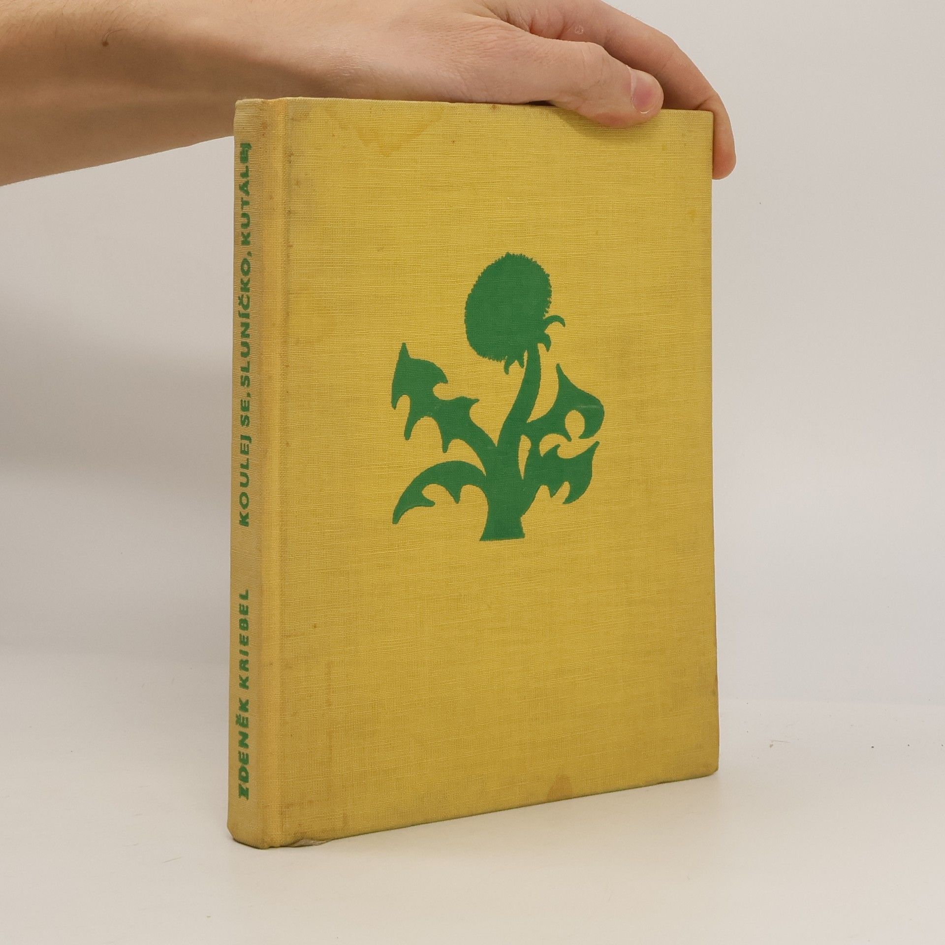 Zdeněk Kriebel Koulej se, sluníčko, kutálej