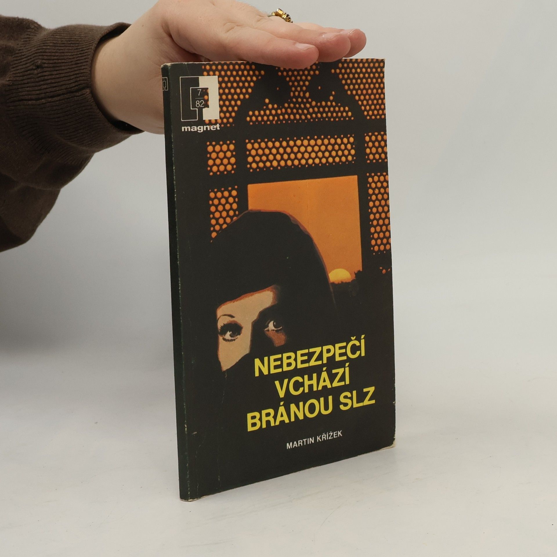 Martin Křížek Nebezpečí vchází bránou slz