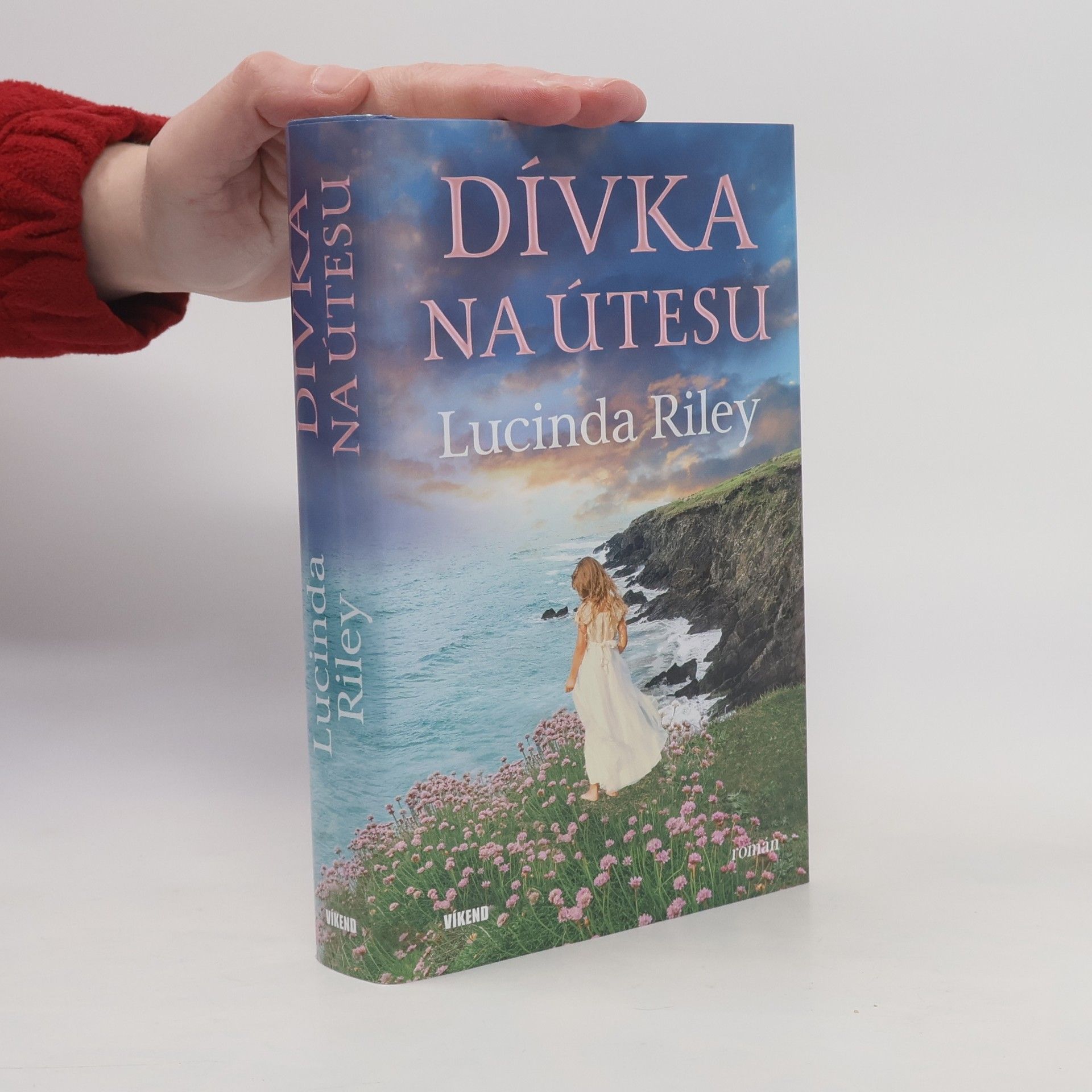 Lucinda Riley Dívka na útesu
