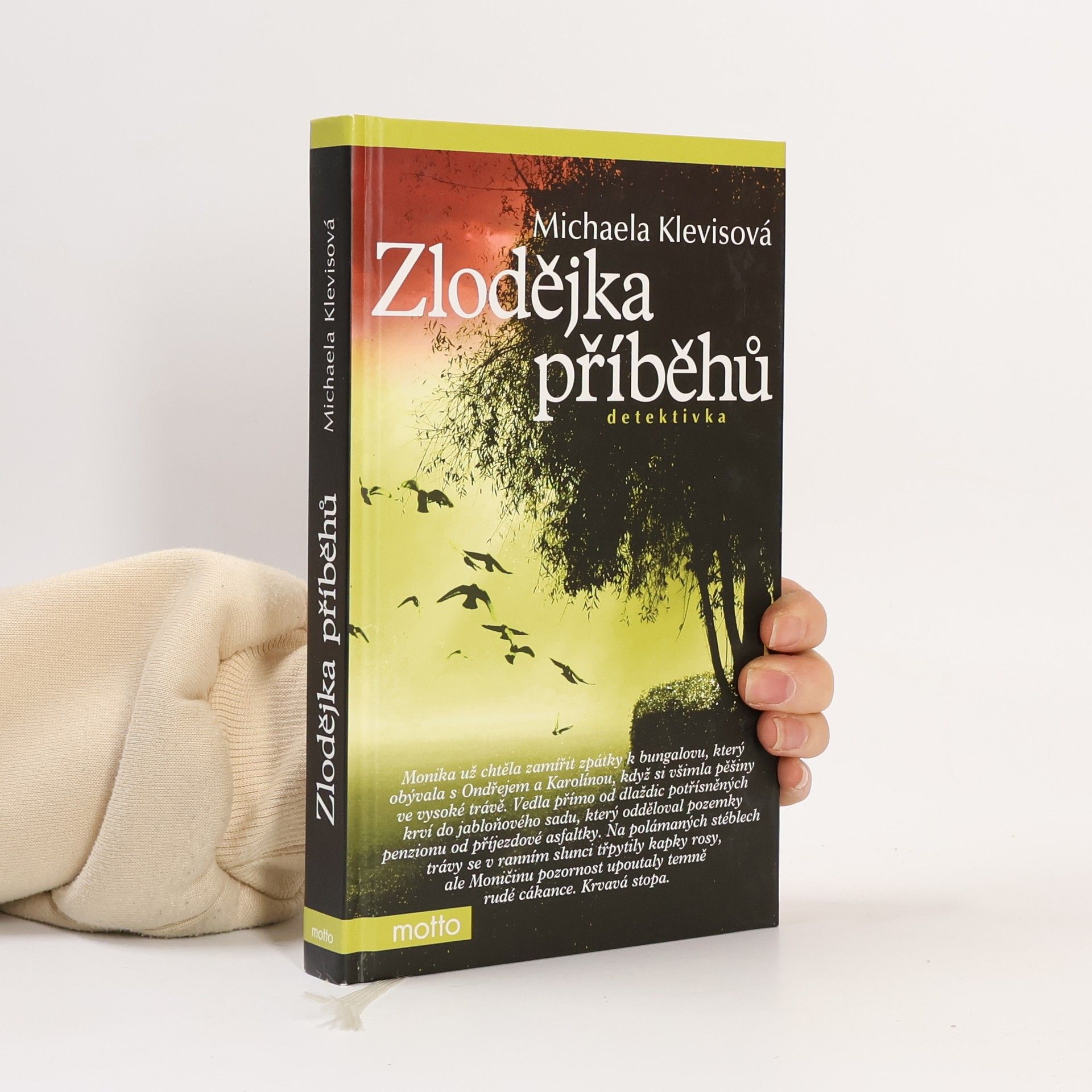 Michaela Klevisová Zlodějka příběhů