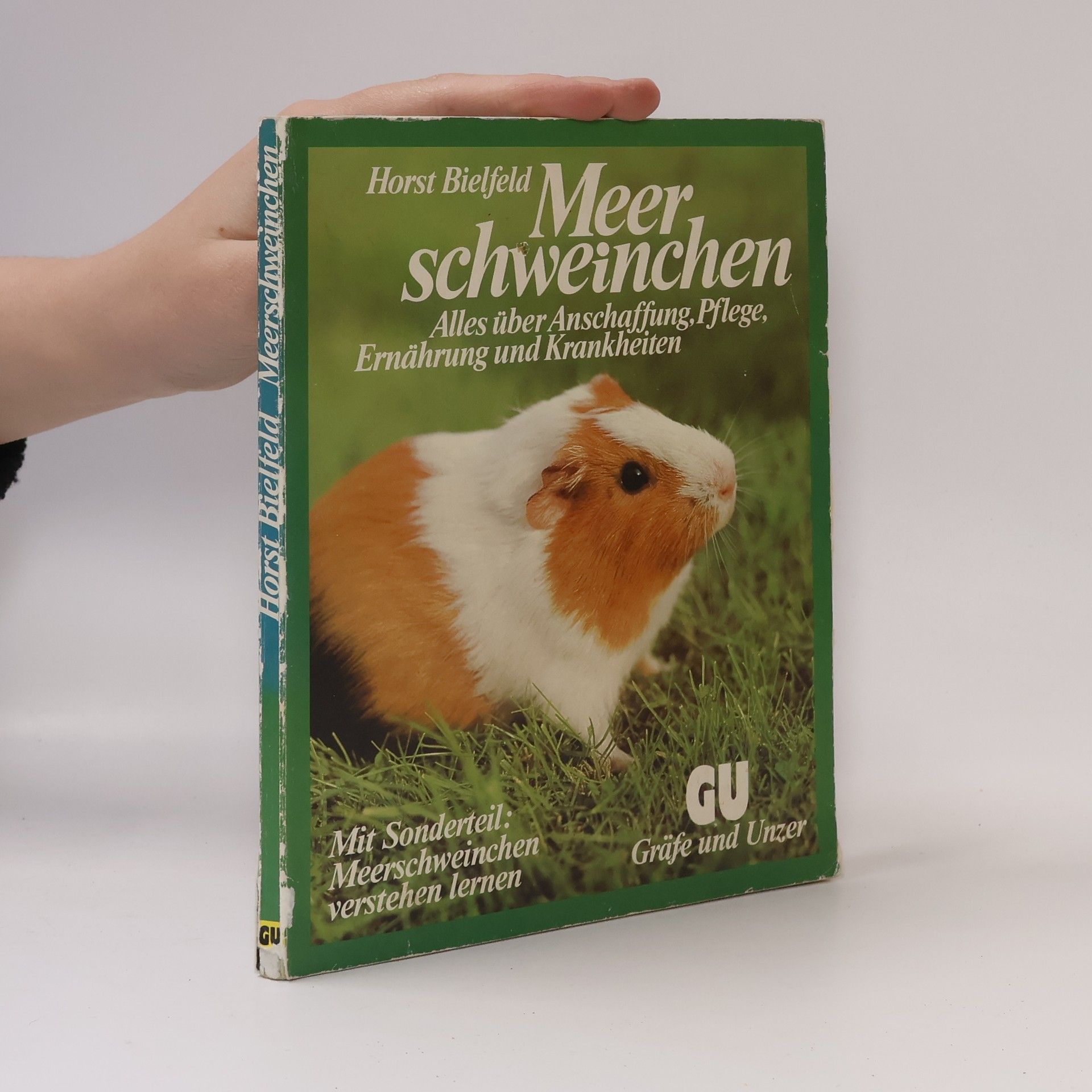 Horst Biefeld Meerschweinchen