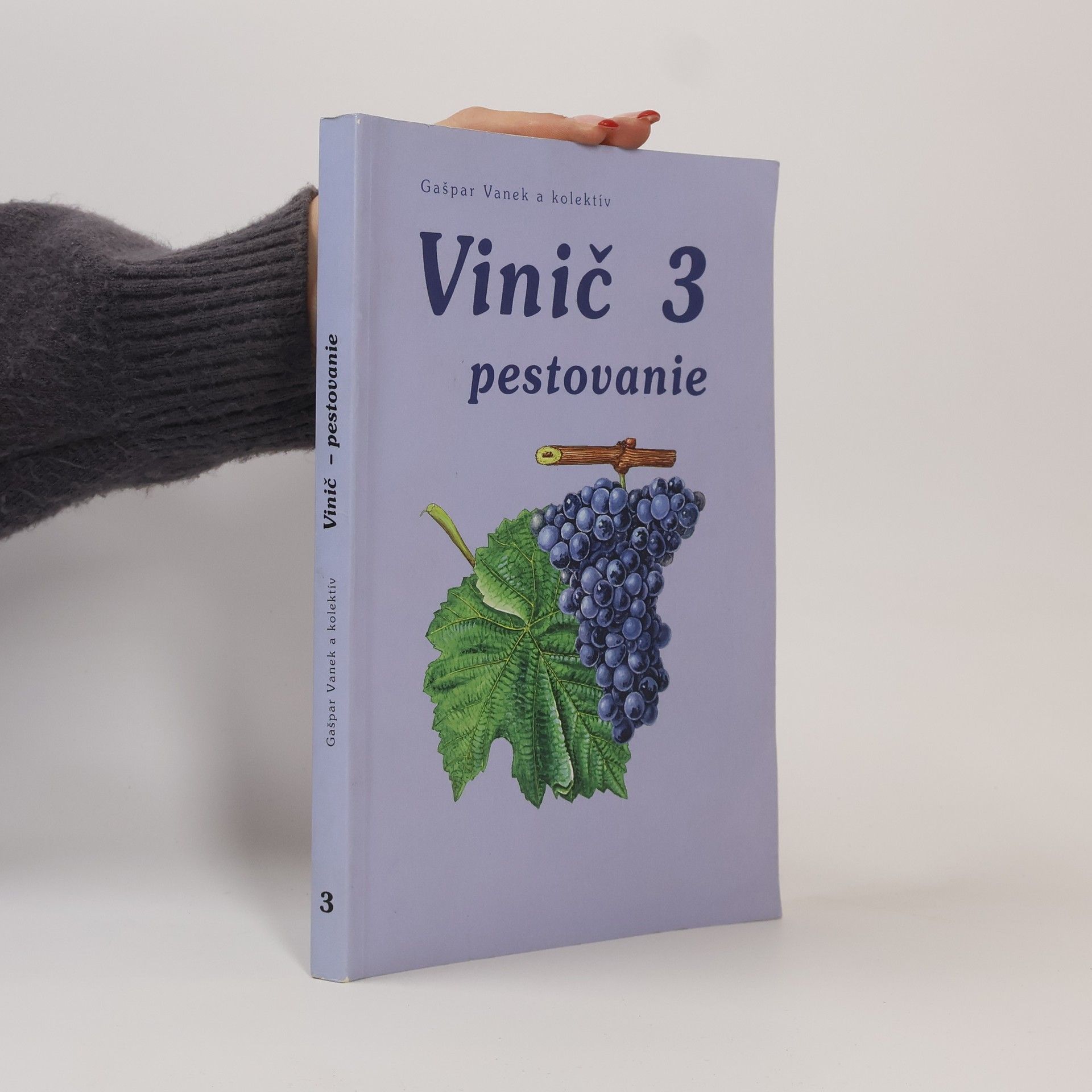 Gašpar Vanek Vinič