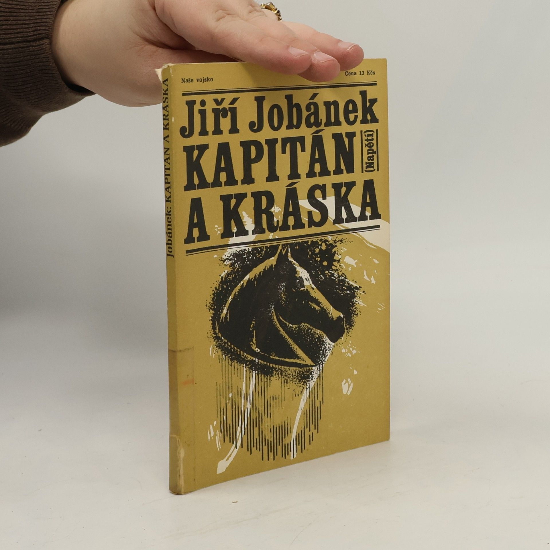 Jiří Jobánek Kapitán a kráska