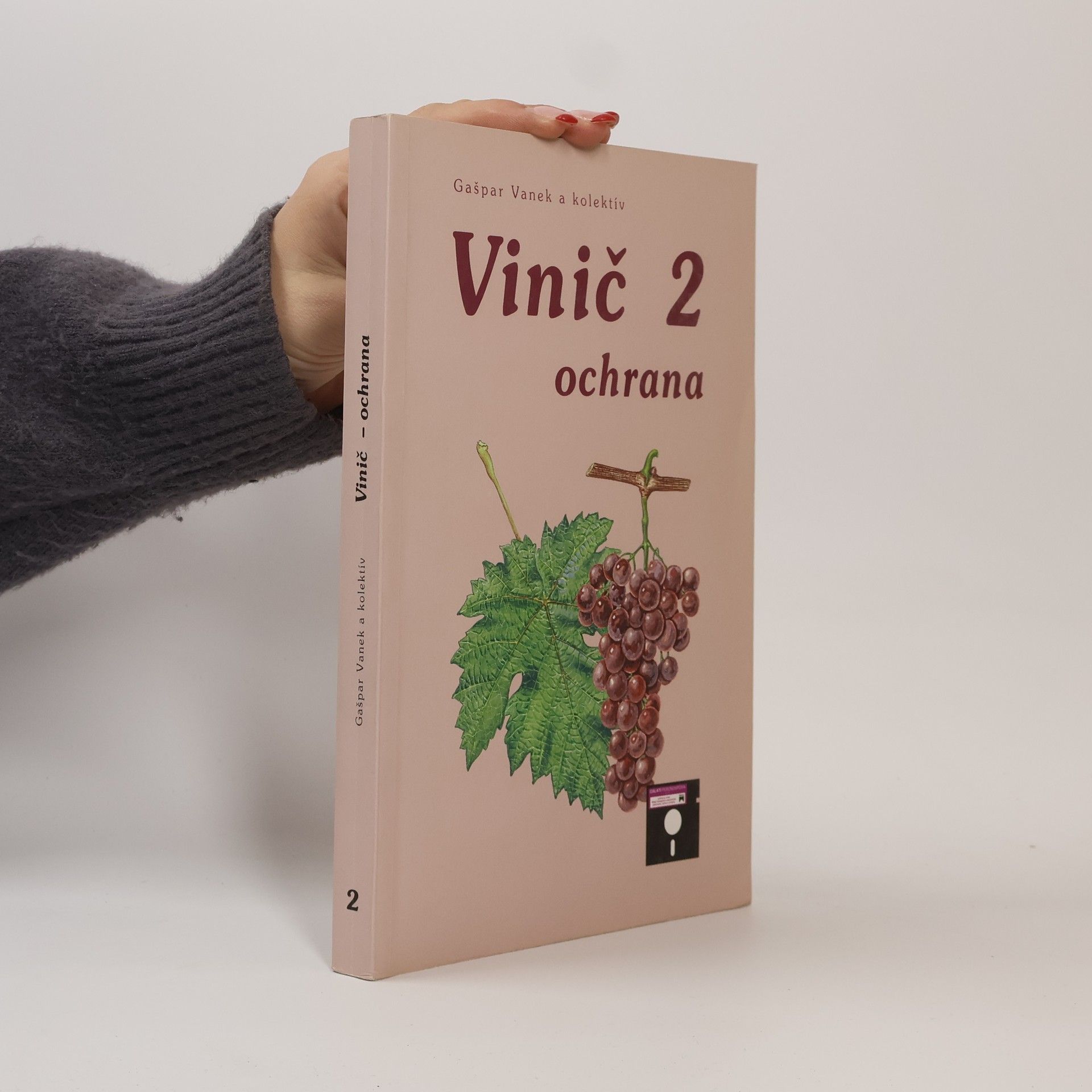 Gašpar Vanek Vinič 2. Ochrana