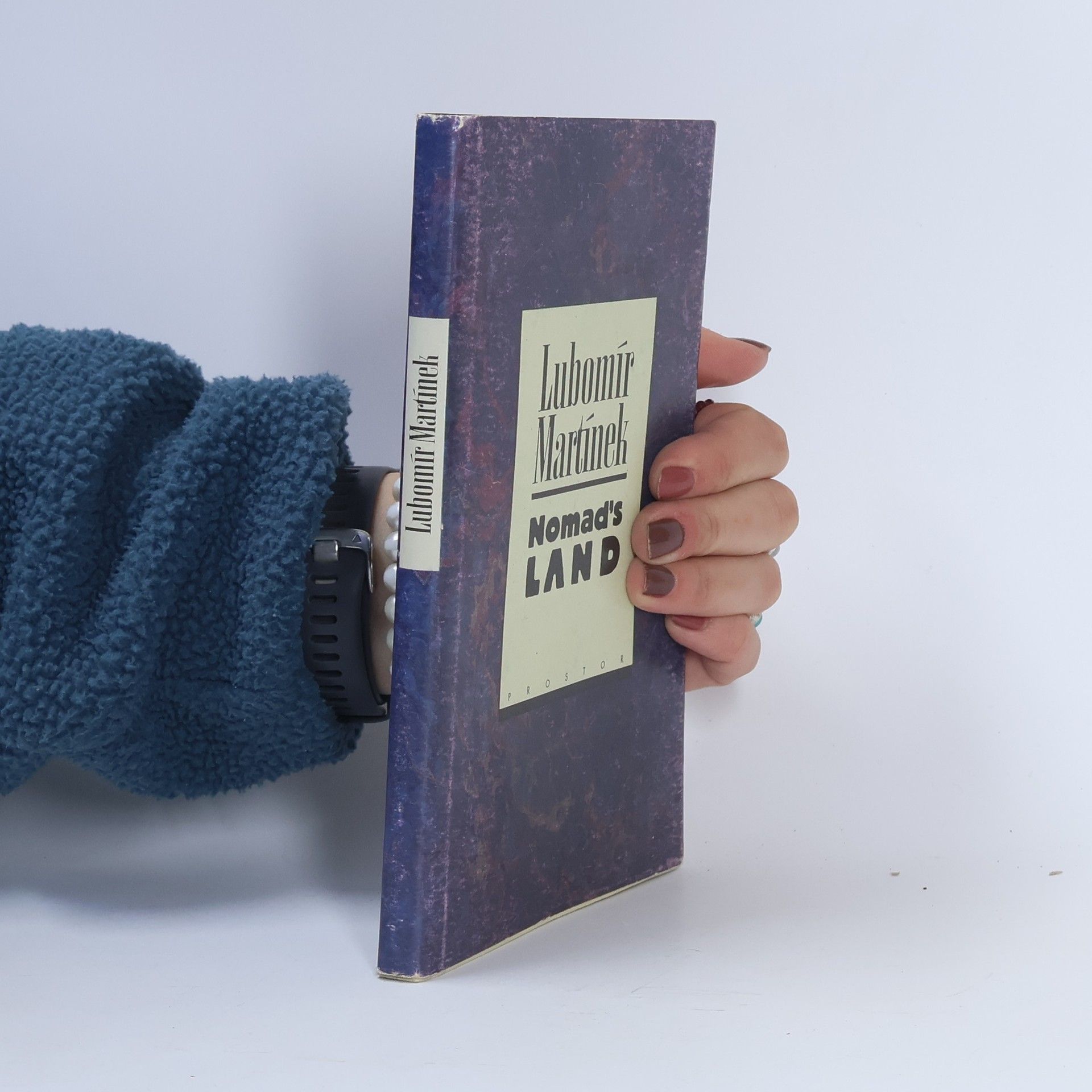 Lubomír Martínek Nomad's land