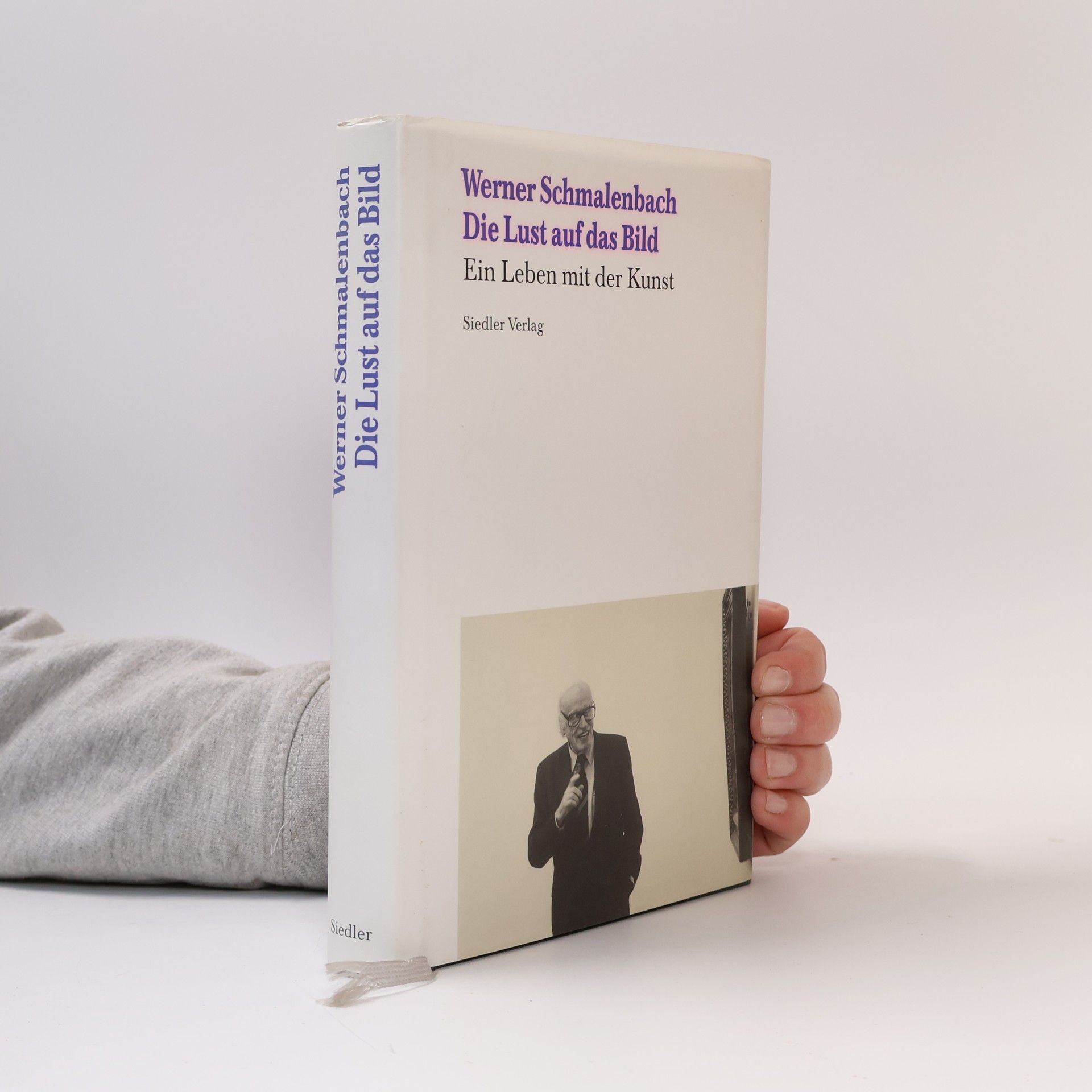 Werner Schmalenbach Die Lust auf das Bild