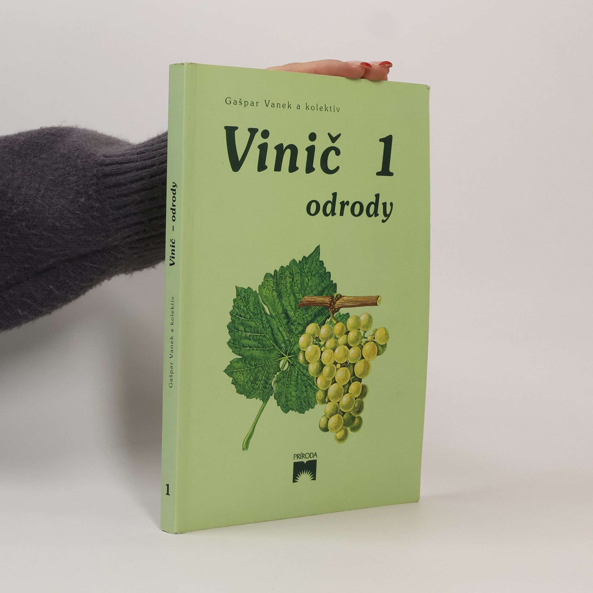 Gašpar Vanek Vinič 1. Odrody