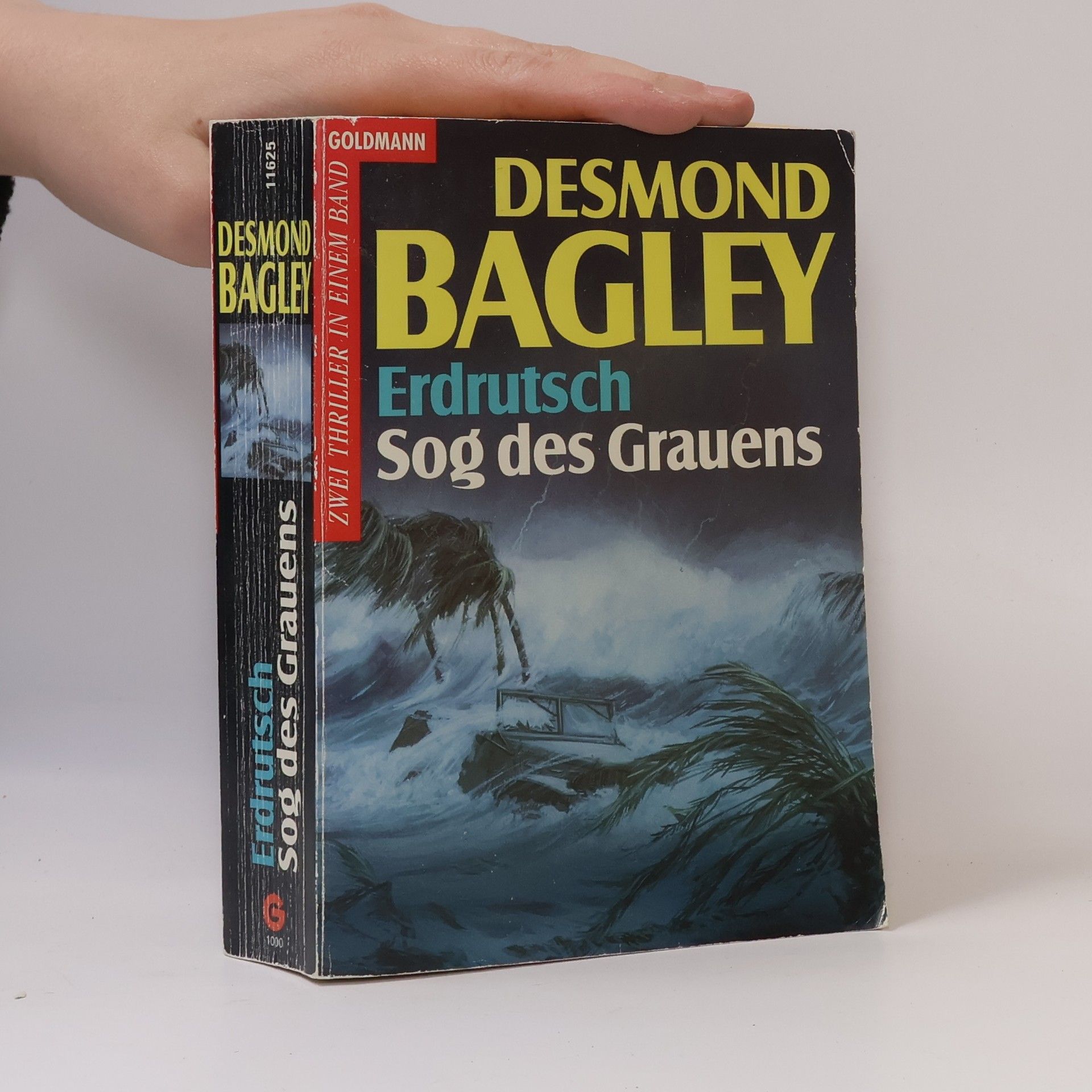 Desmond Bagley Erdrutsch / Sog des Grauens