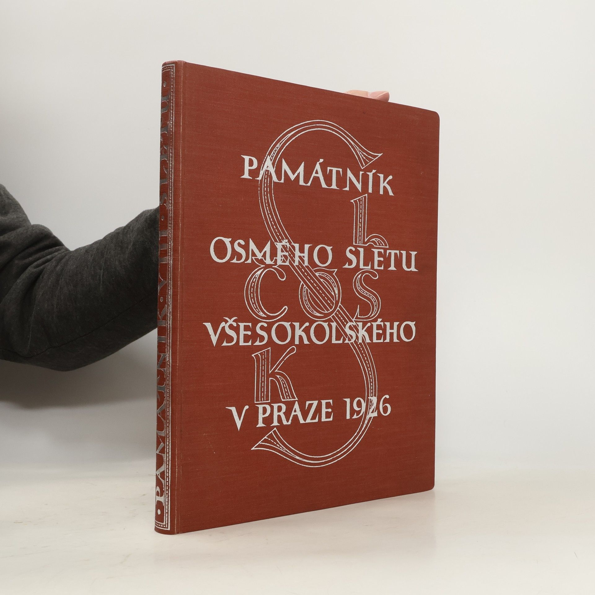 Various authors Památník osmého sletu všesokolského v Praze 1926