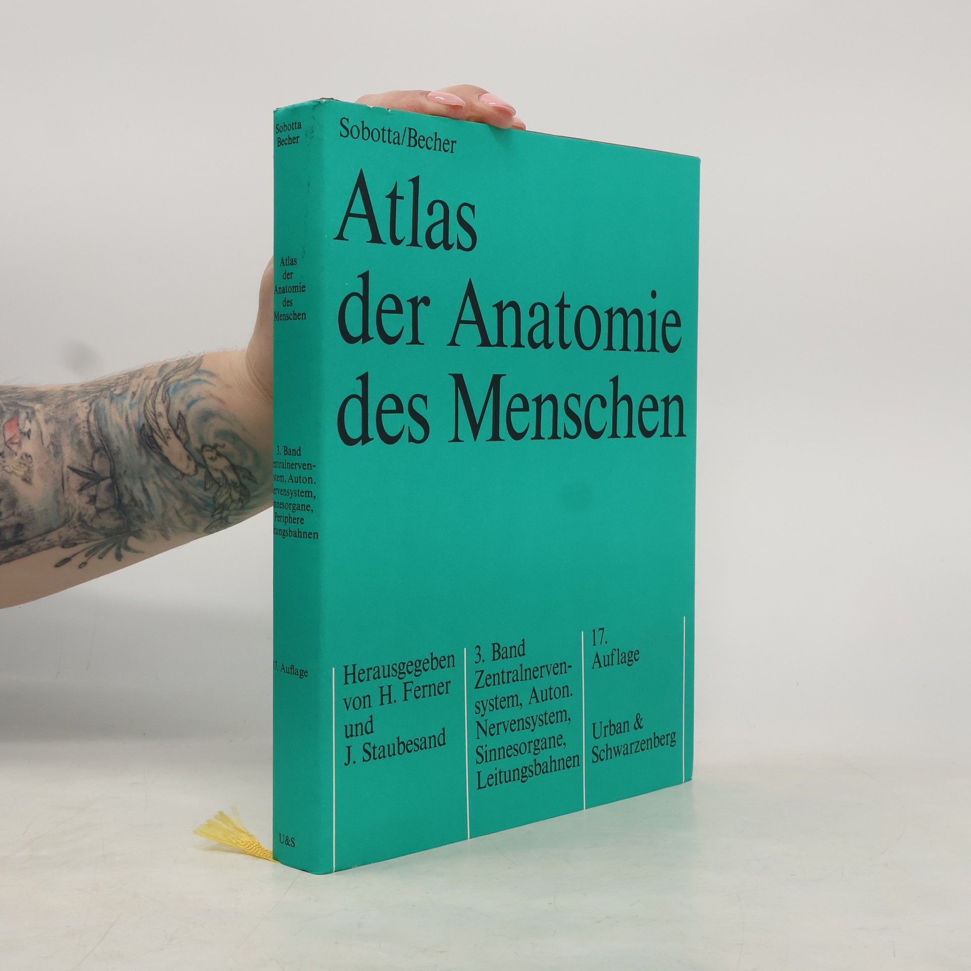 Hellmut Becher Lehrbuch der Anatomie des Menschen 3