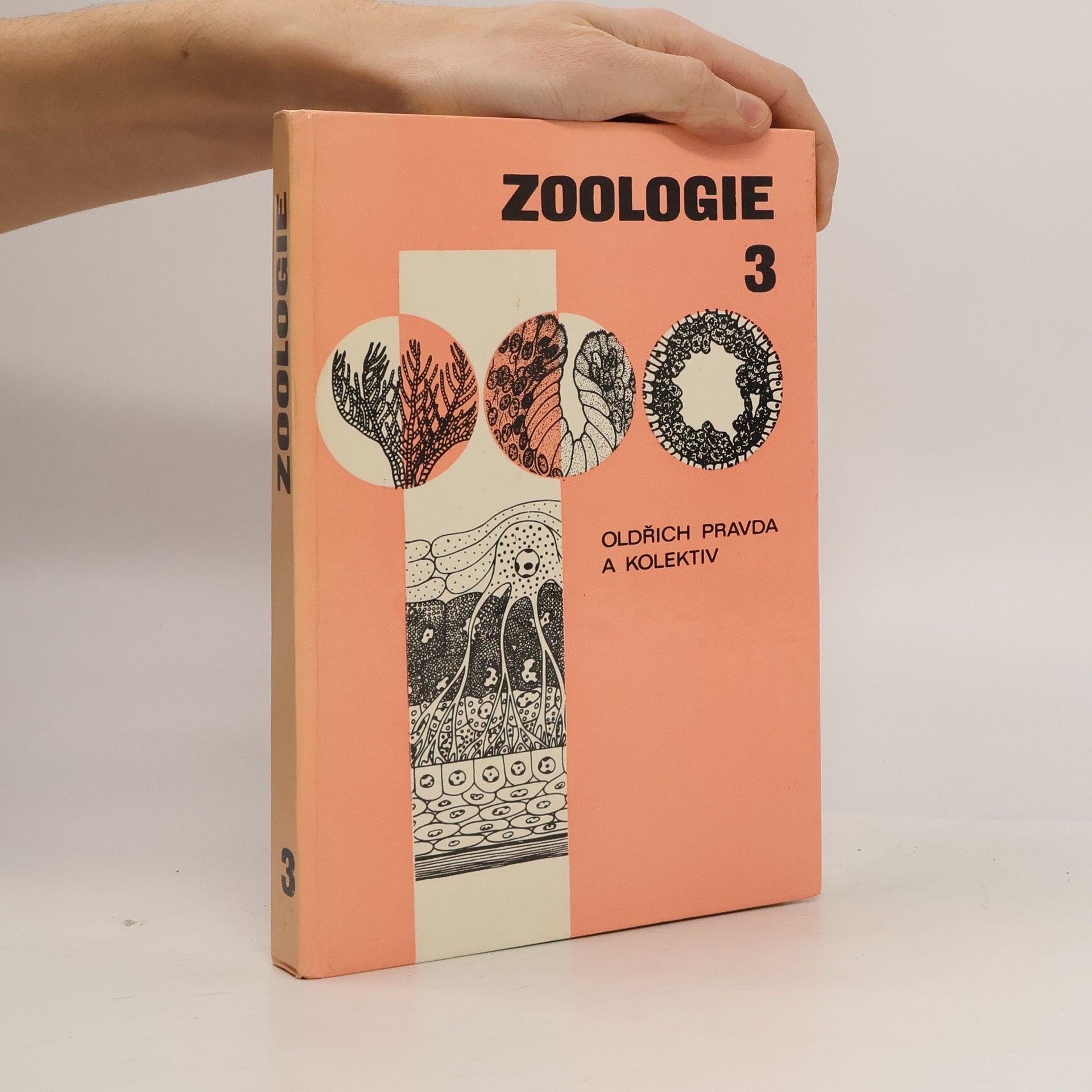 Auteurscollectief Zoologie 3