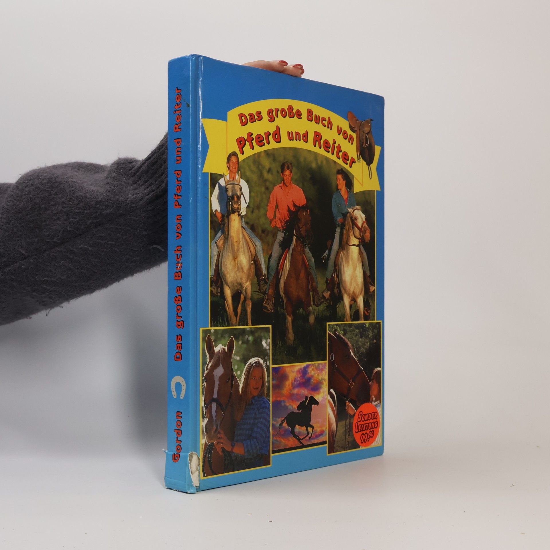 Marie Pelzer Das große Buch von Pferd und Reiter