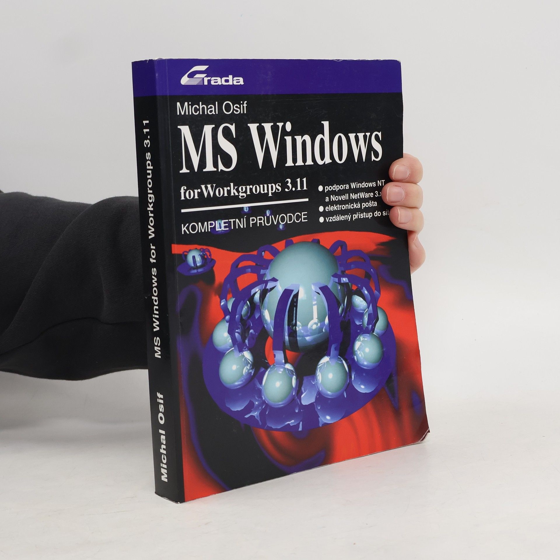 Michal Osif MS Windows for Workgroups 3.11: Kompletní průvodce
