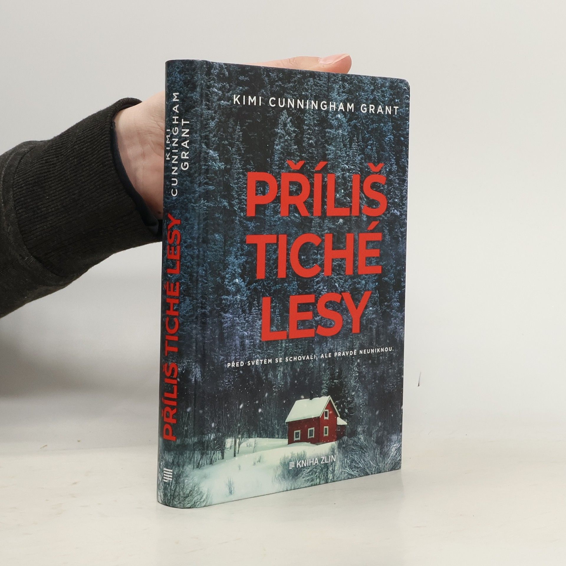 Kimi Cunningham Grant Příliš tiché lesy