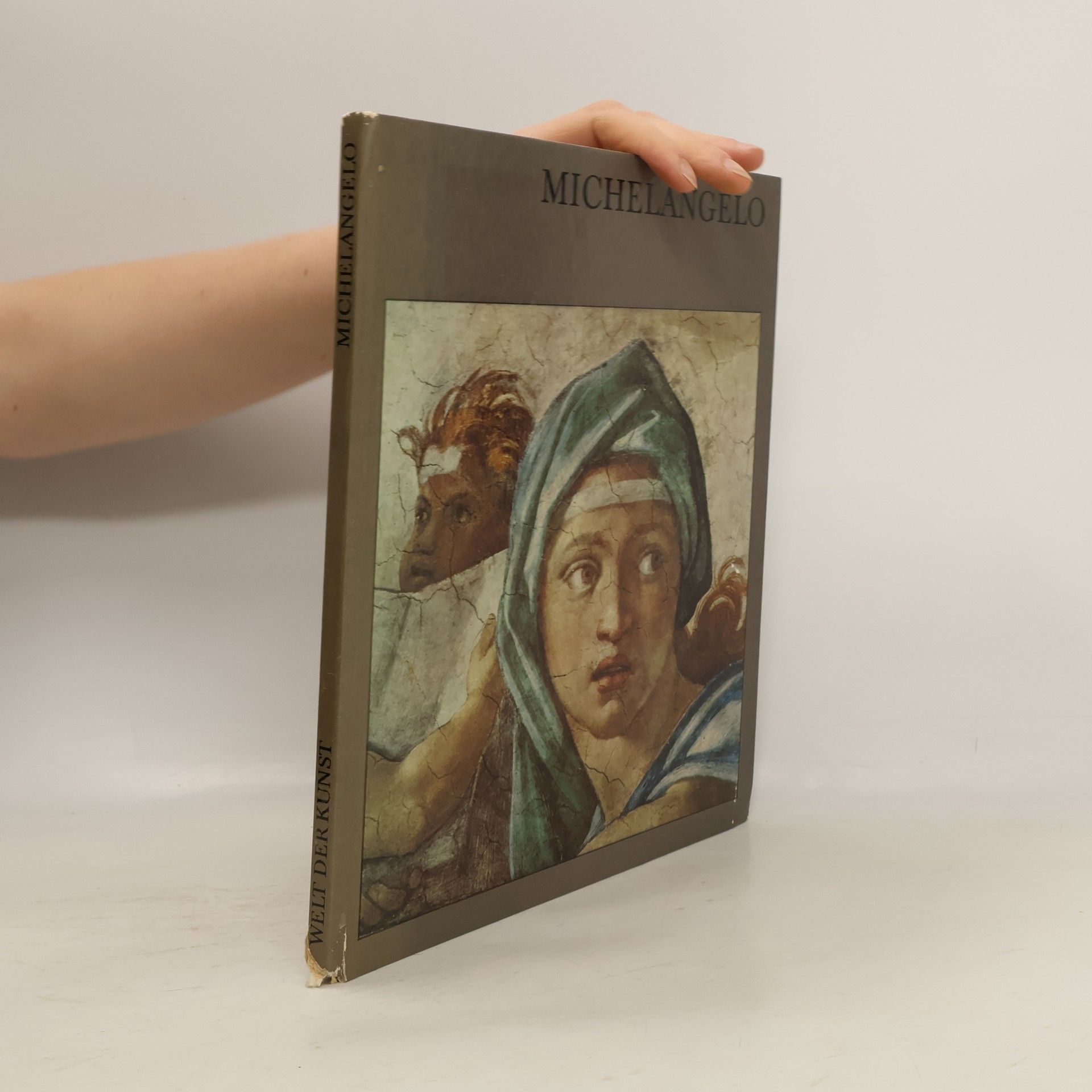 Erpel Fritz Michelangelo