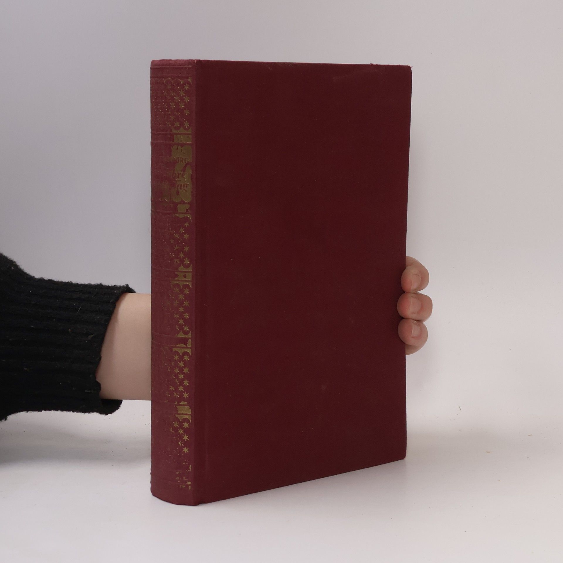 Werner Beumelburg Hundert Jahre sind wie ein Tag