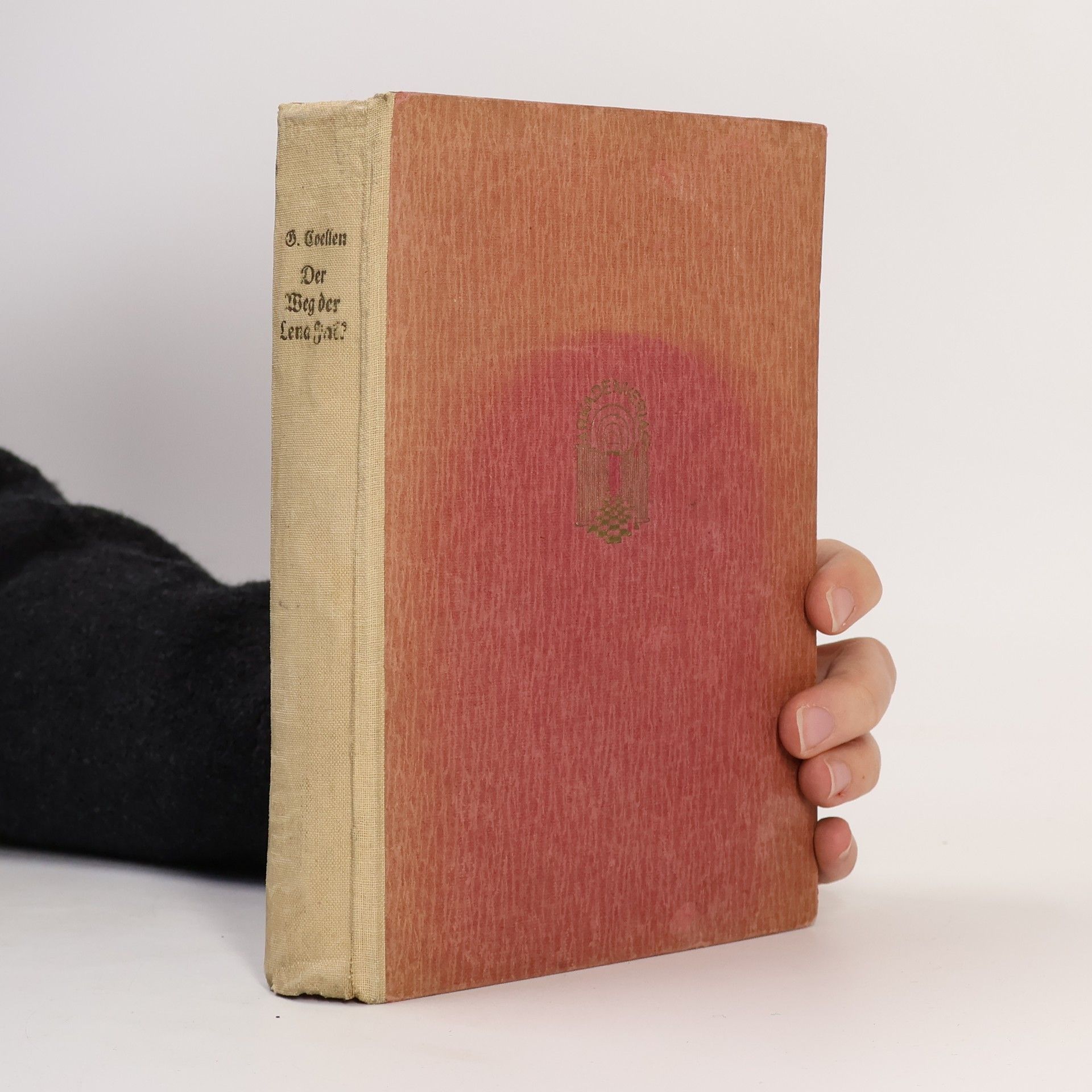 Grete Coellen Der Weg der Lena Falk