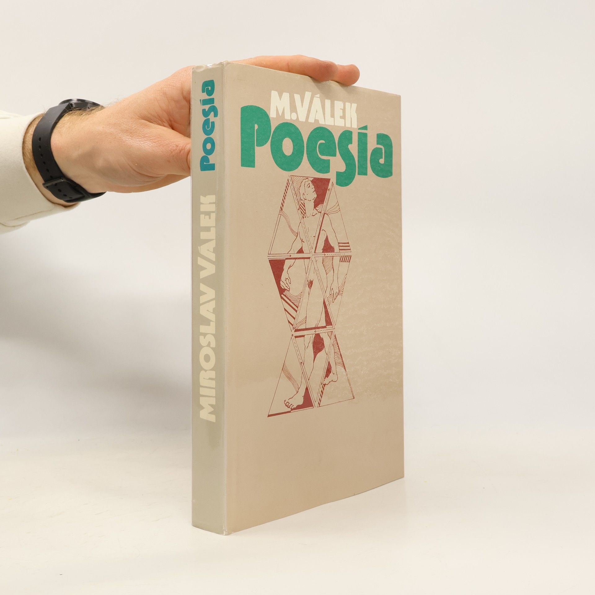 Miroslav Válek Poesía