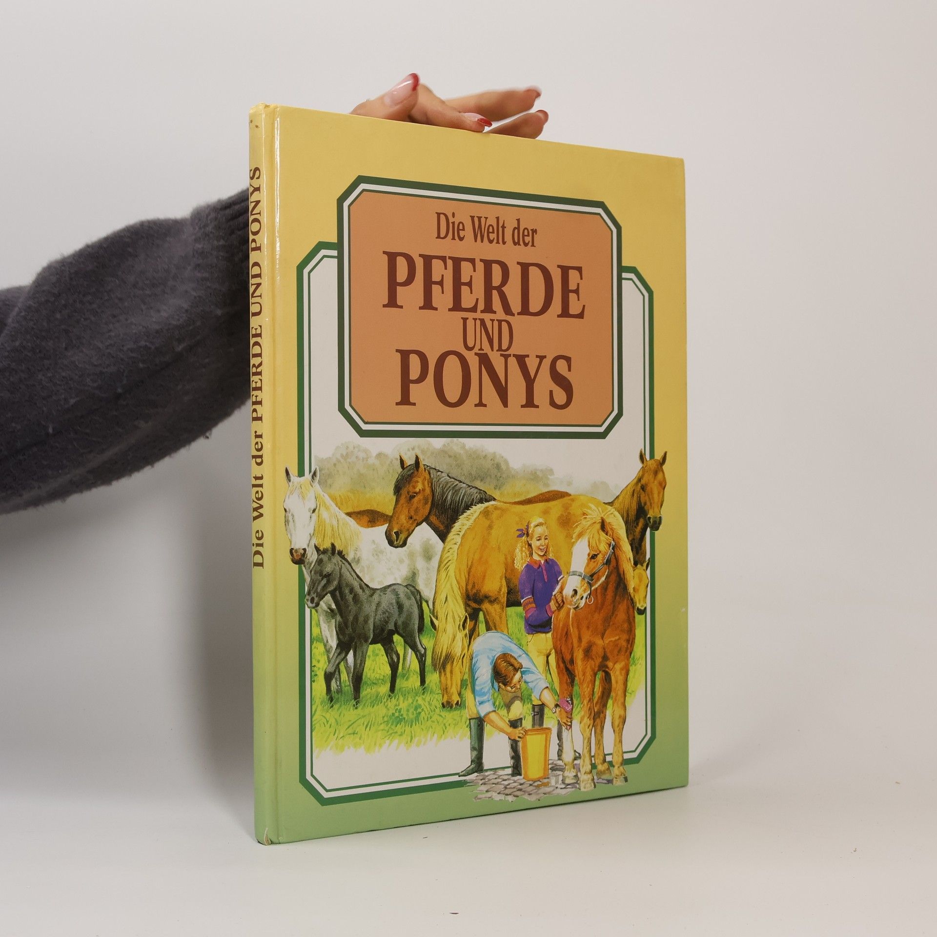 Maureen Spurgeon Die Welt der Pferde und Ponys