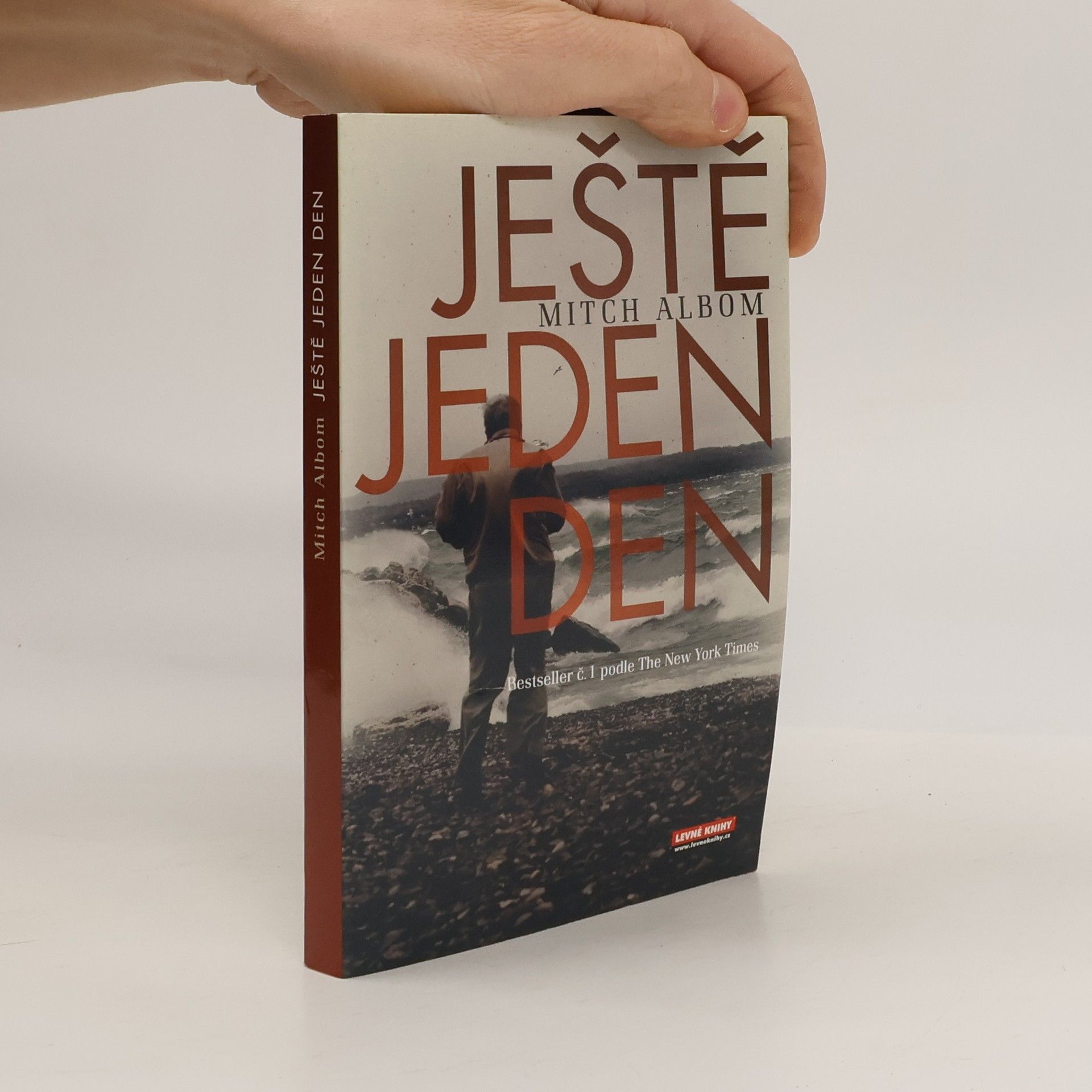 Mitch Albom Ještě jeden den