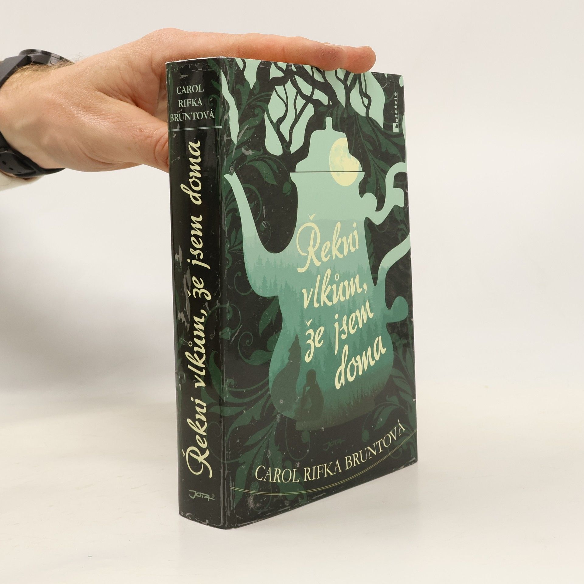 Carol Rifka Brunt Řekni vlkům, že jsem doma