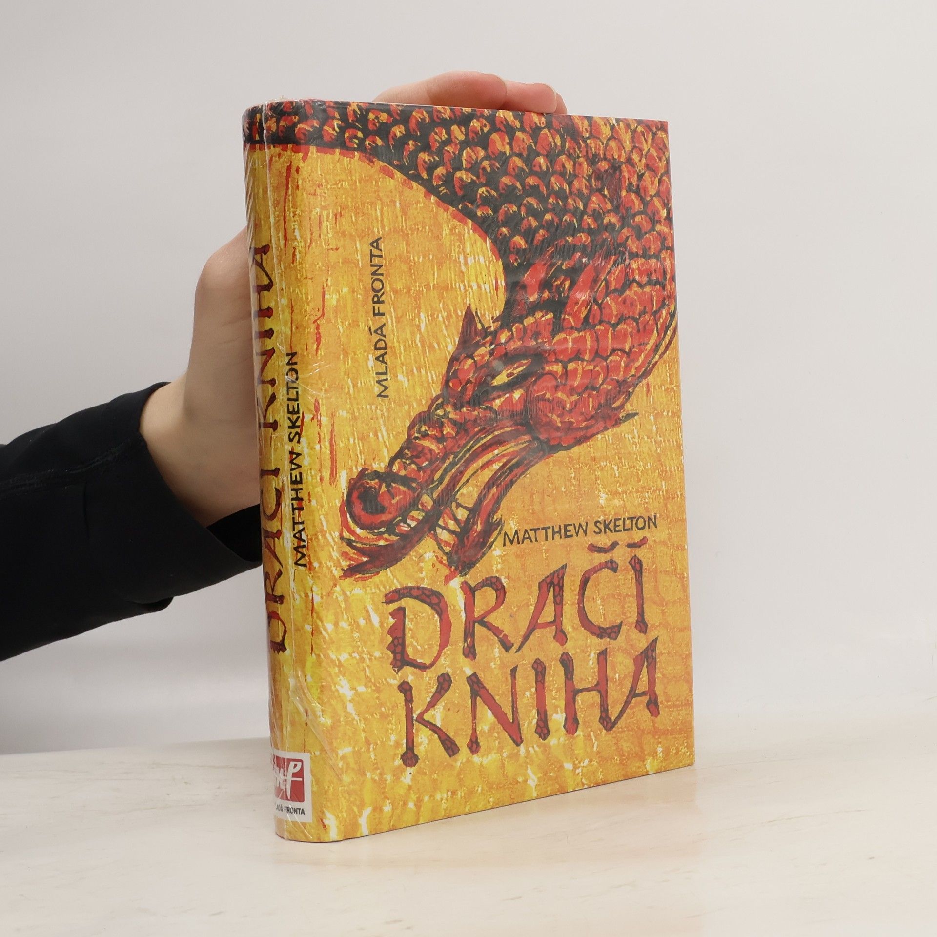 Matthew Skelton Dračí kniha
