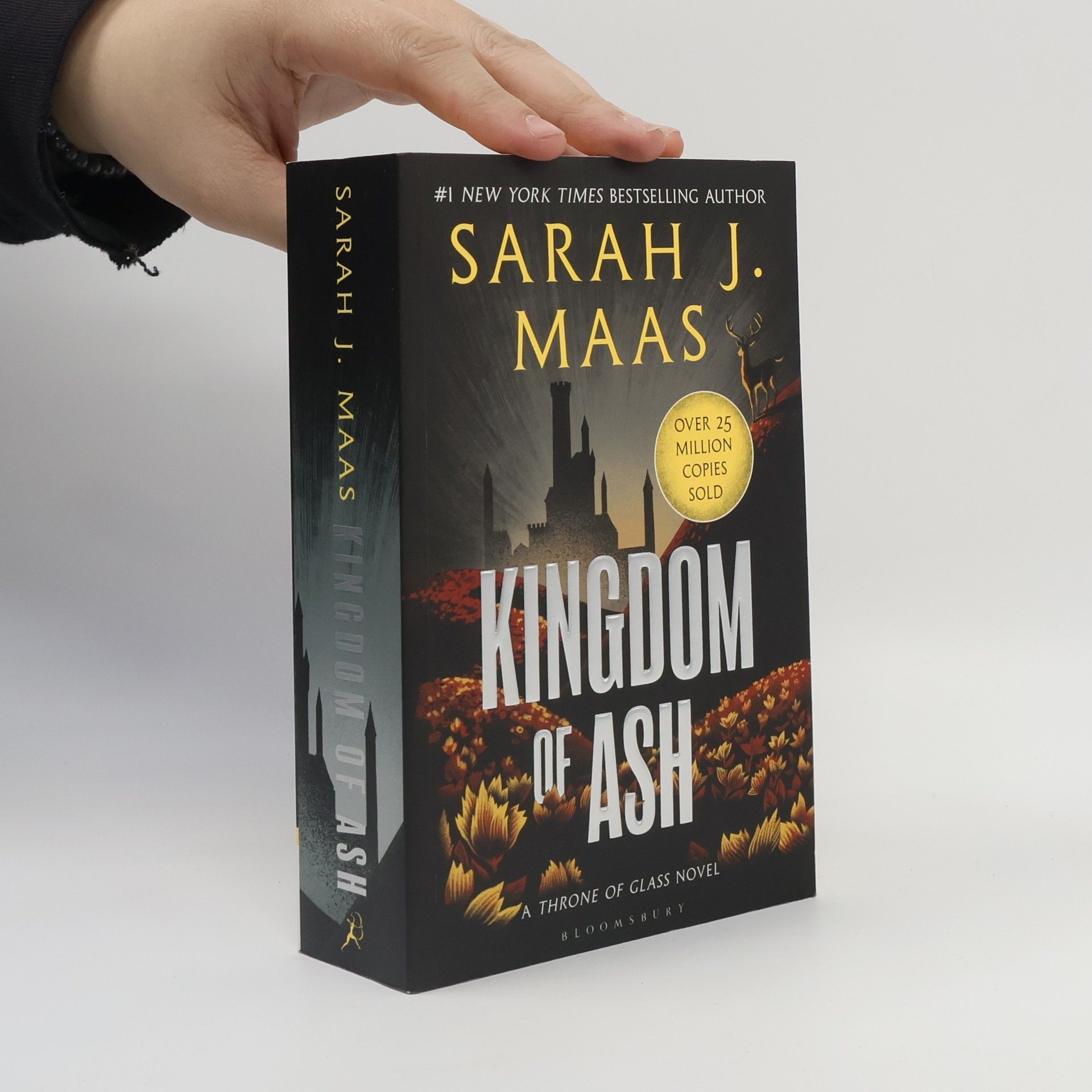 Sarah J. Maas Kingdom of Ash