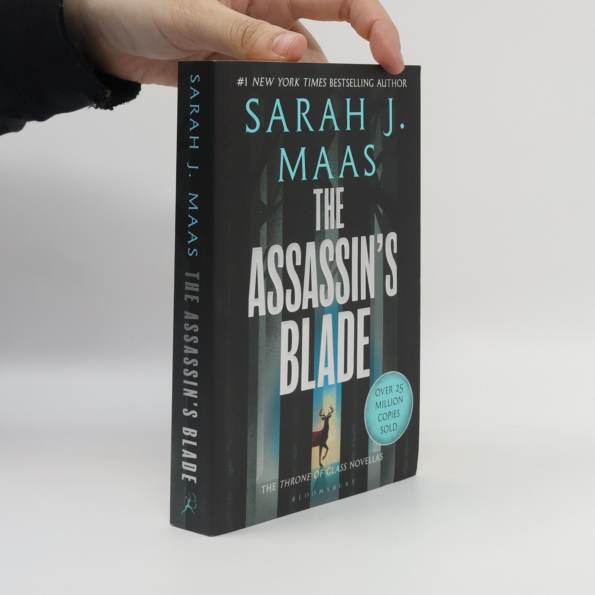 Sarah J. Maas The Assassin's Blade