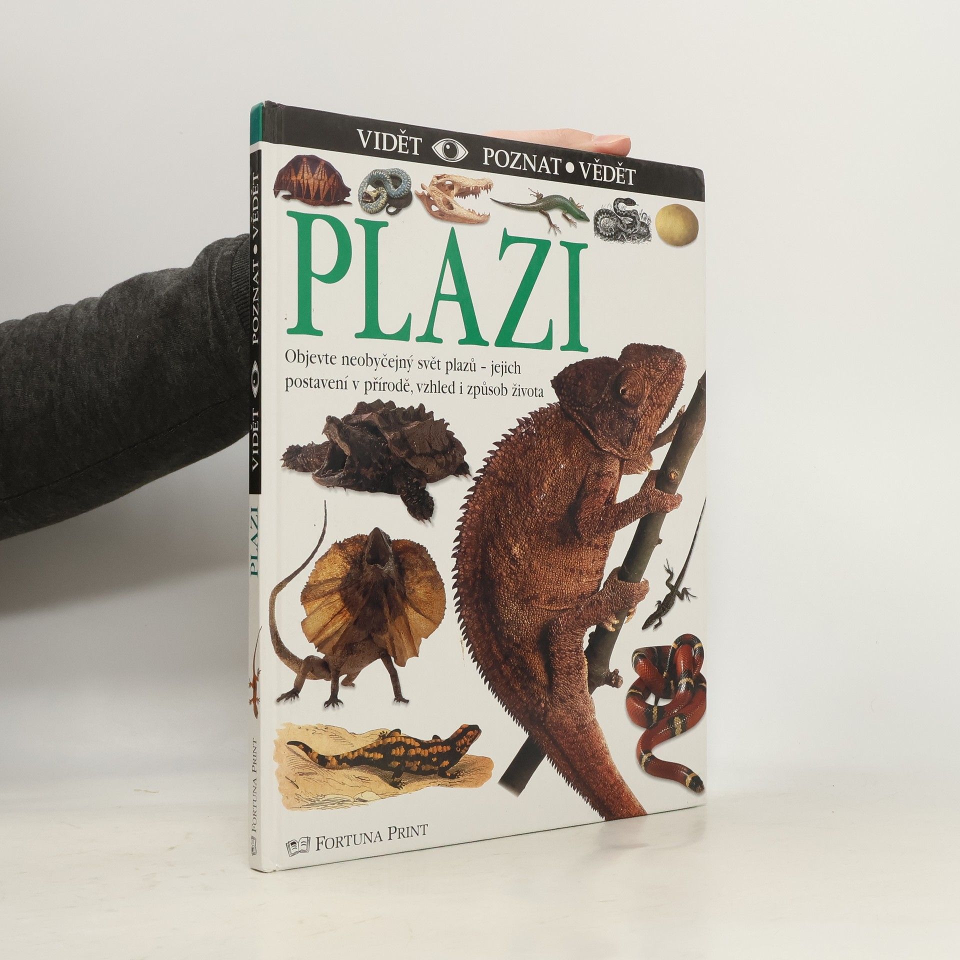 Colin MacCarthy Plazi