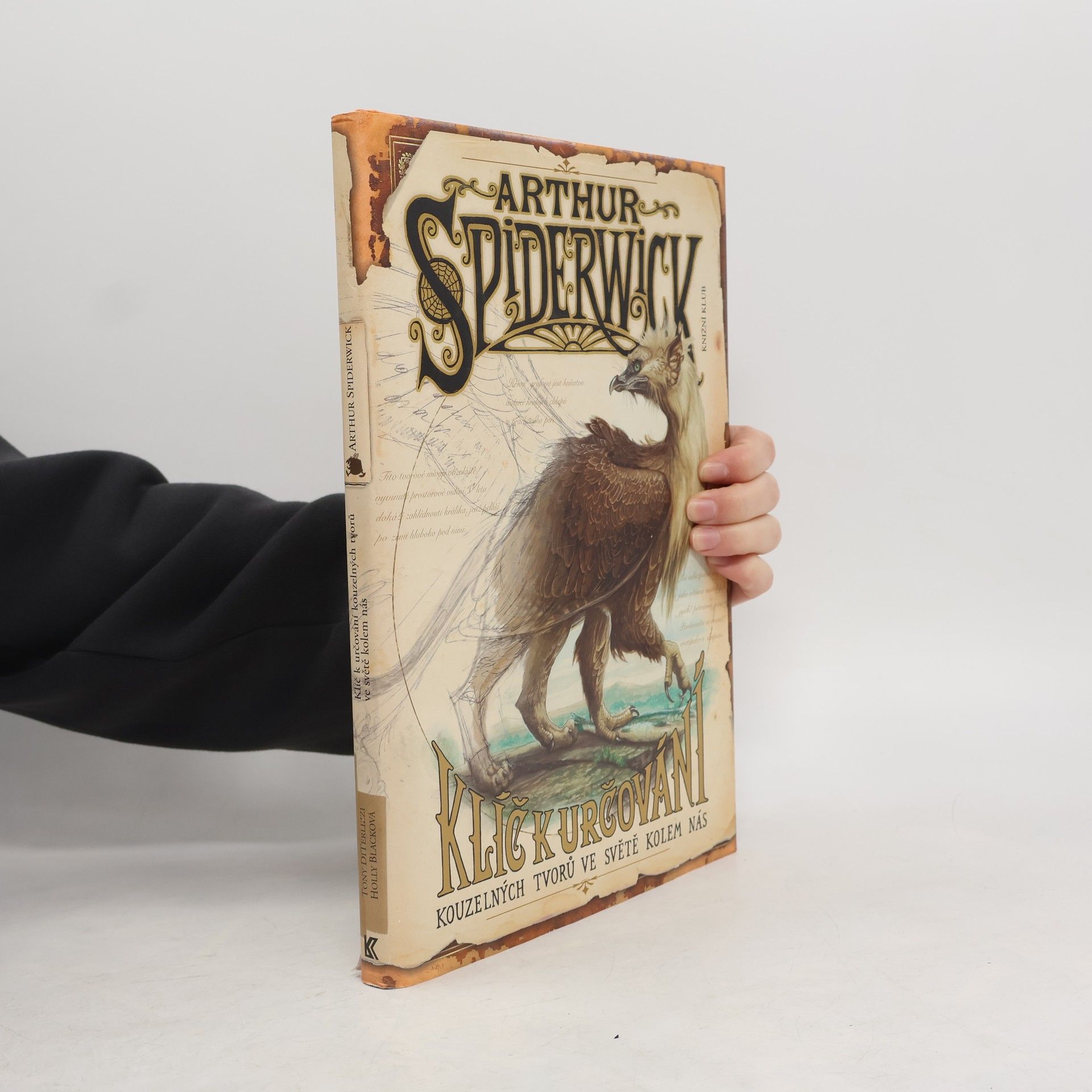 Tony Di Terlizzi Arthur Spiderwick: klíč k určování kouzelných tvorů ve světě kolem nás