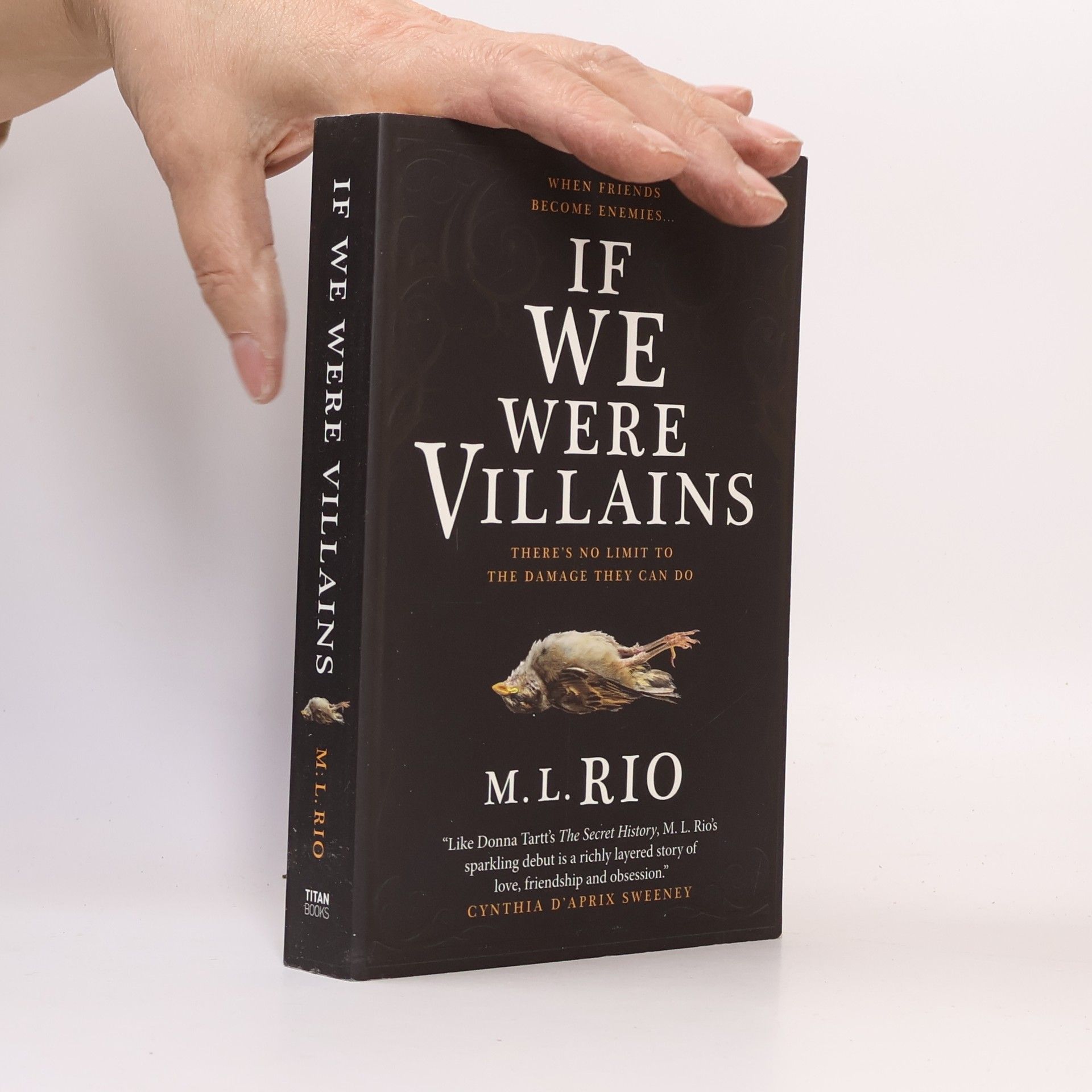 M. L. Rio If We Were Villains