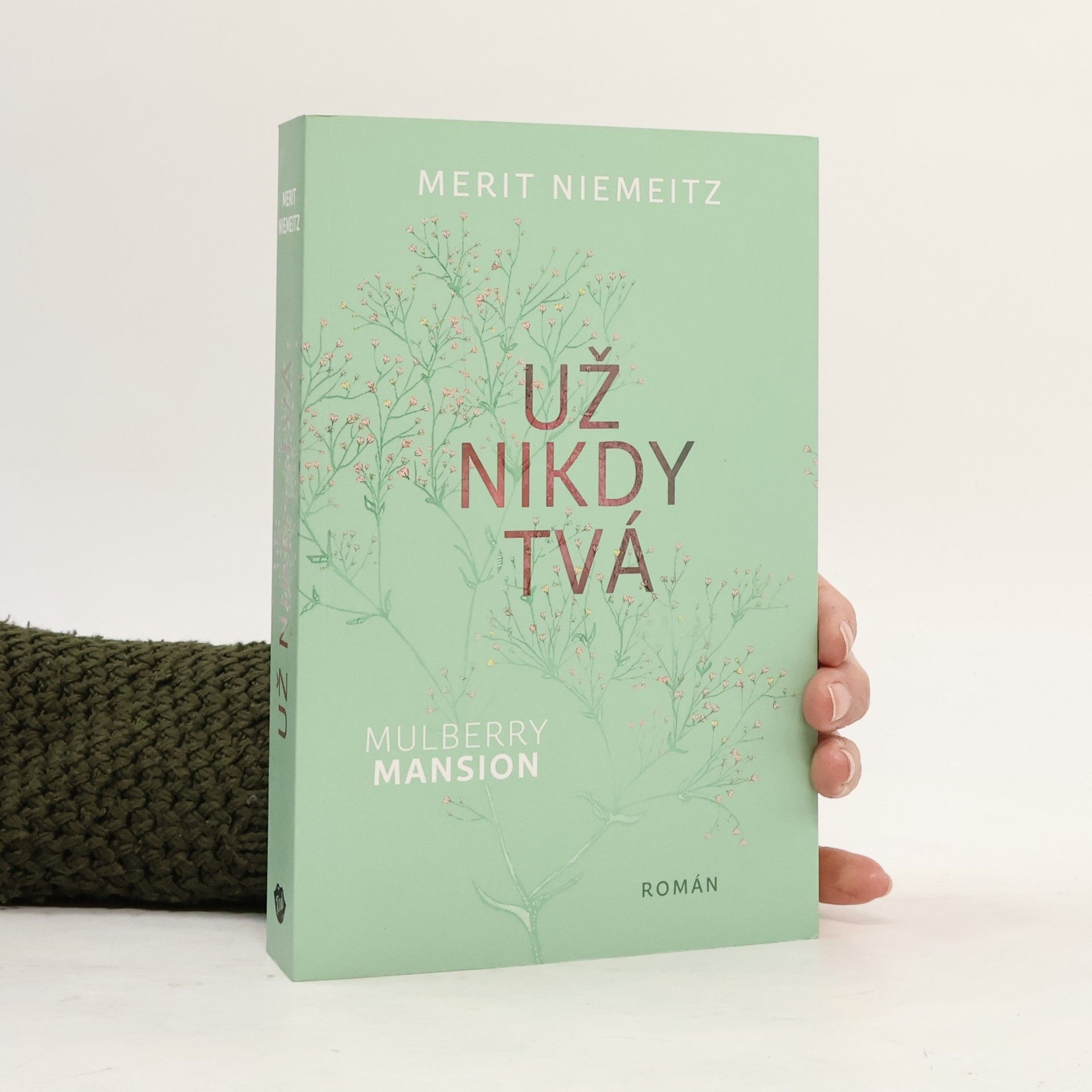 Merit Niemeitz Už nikdy tvá