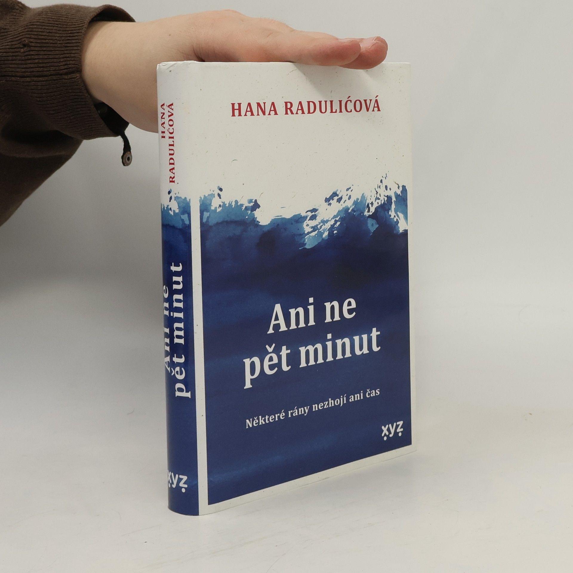 Ani ne pět minut : některé rány nezhojí ani čas