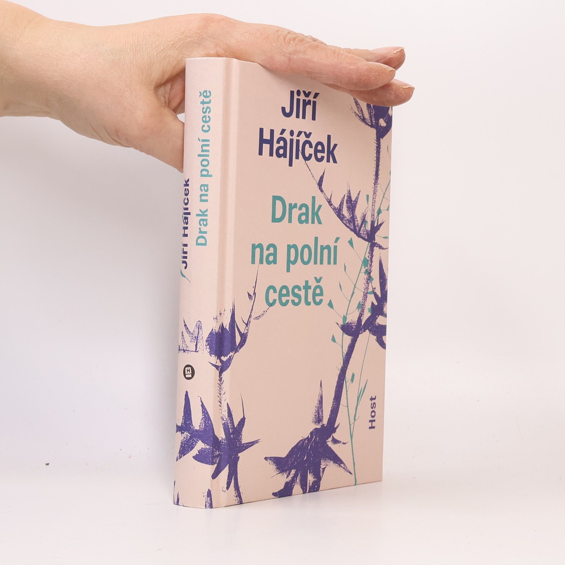 Jiří Hájíček Drak na polní cestě